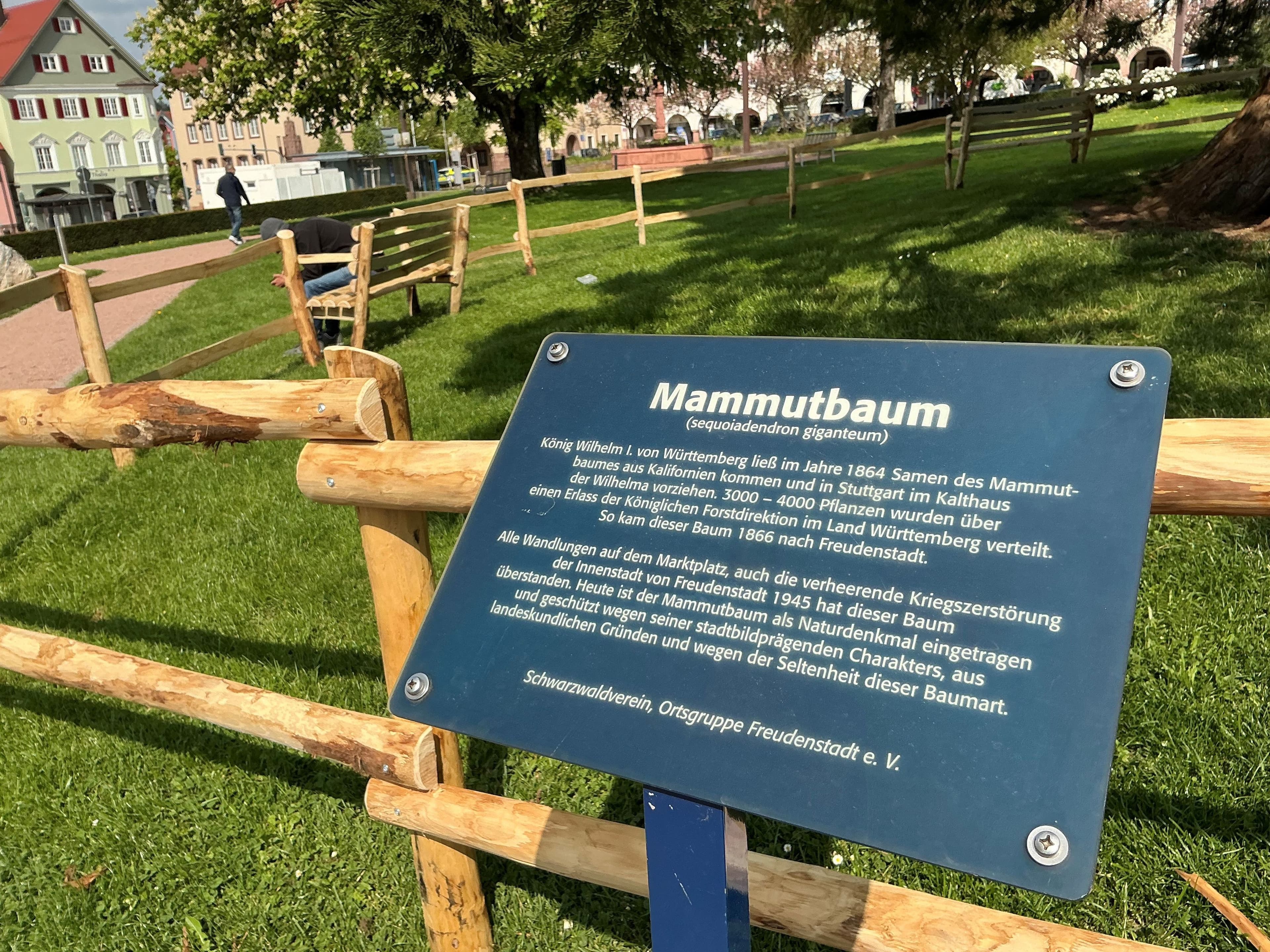 Freudenstadts lebendes Denkmal | Symbolbild