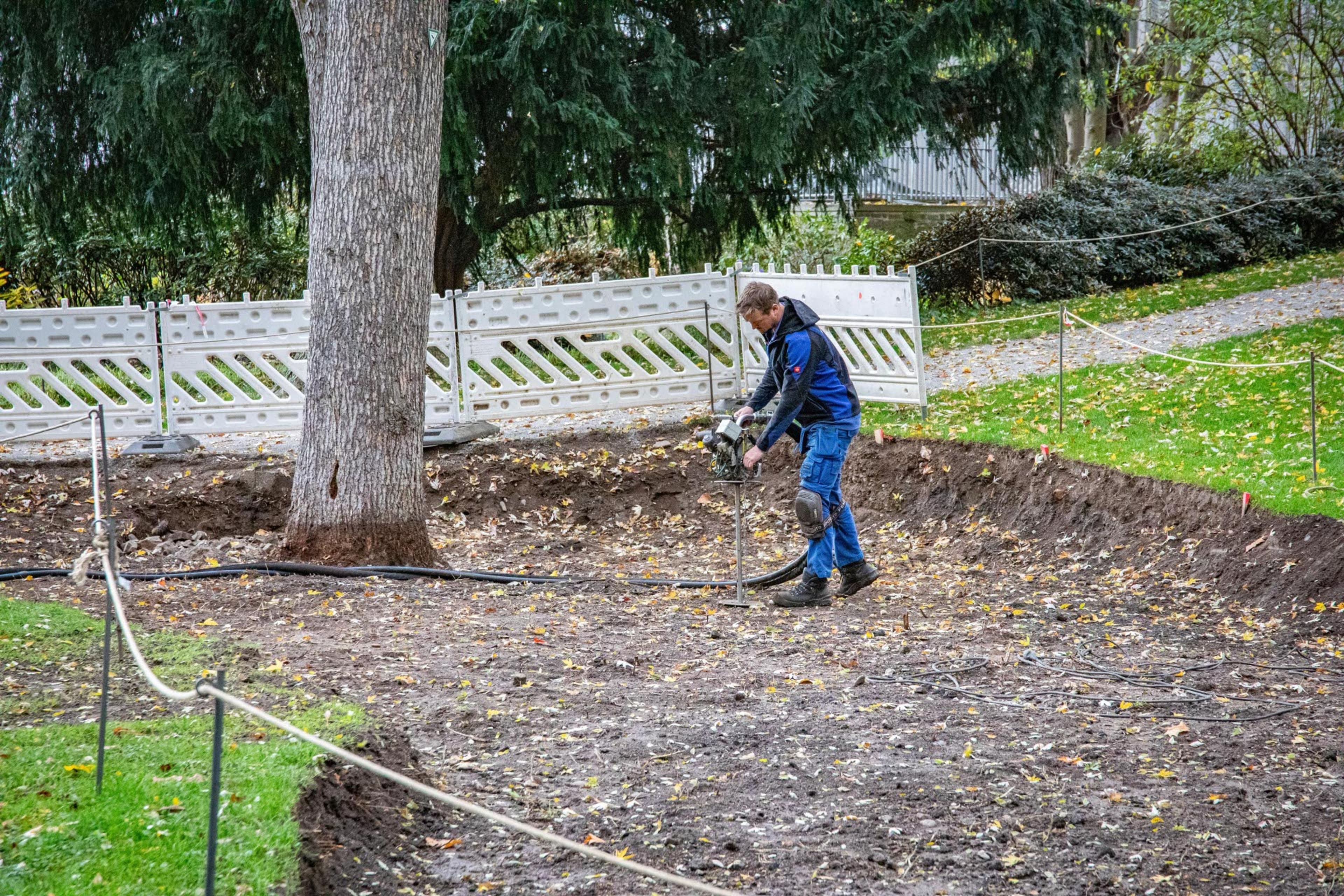 Koblenz gibt Naturdenkmälern neue Kraft | Symbolbild