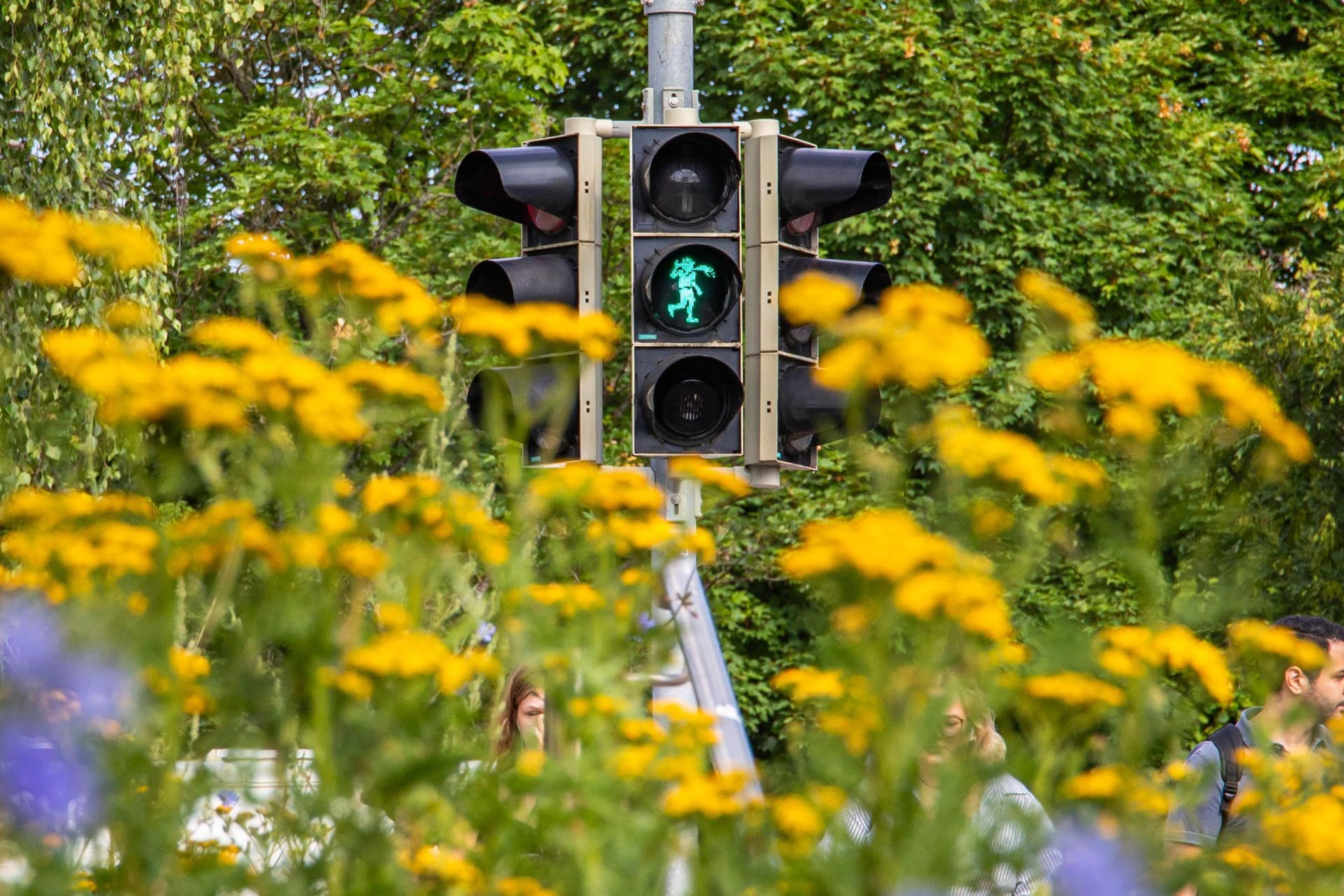 Neue Schängelampel in Koblenz erinnert an Torsten Schupp | Symbolbild