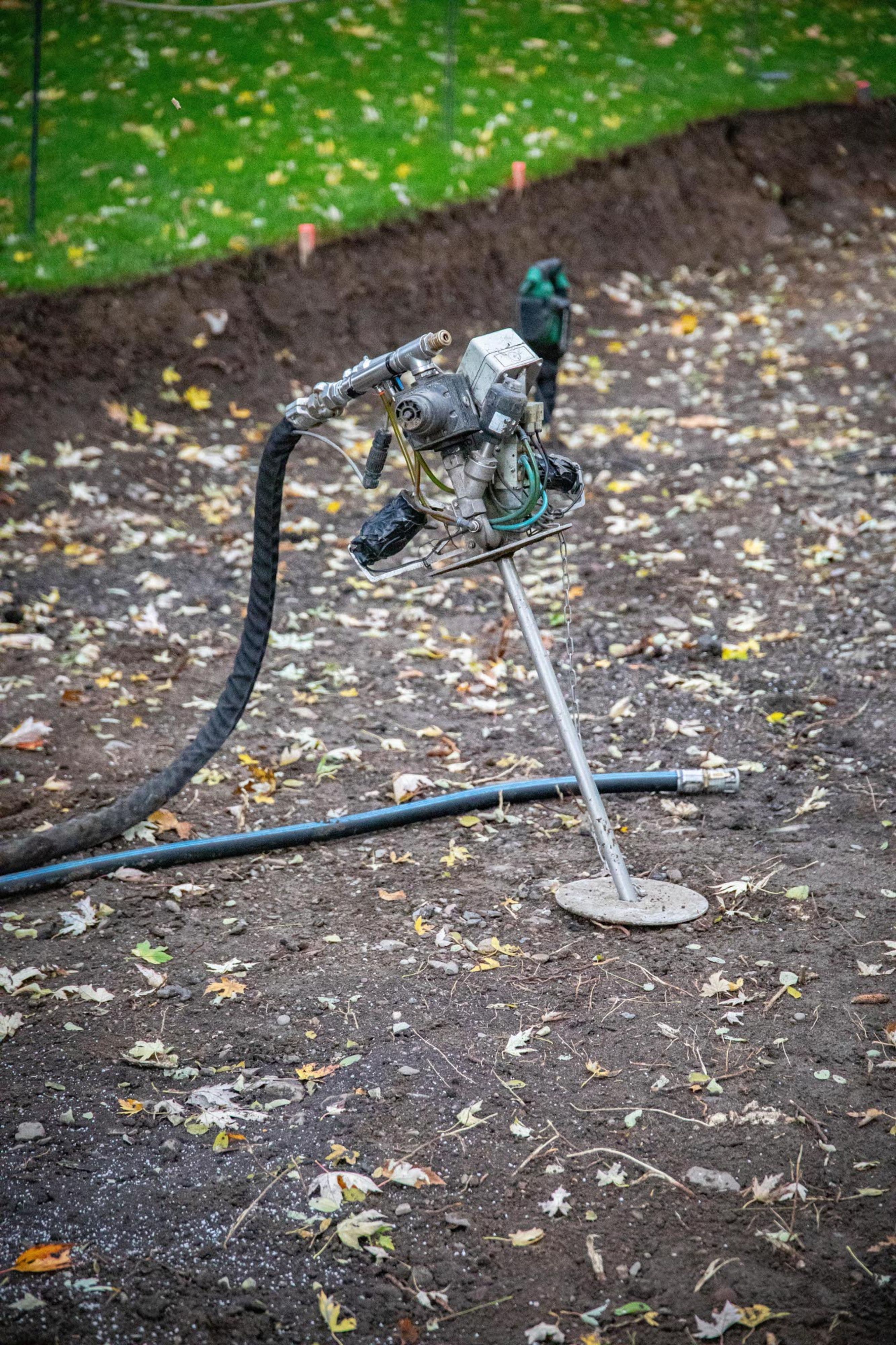 Koblenz gibt Naturdenkmälern neue Kraft | Symbolbild