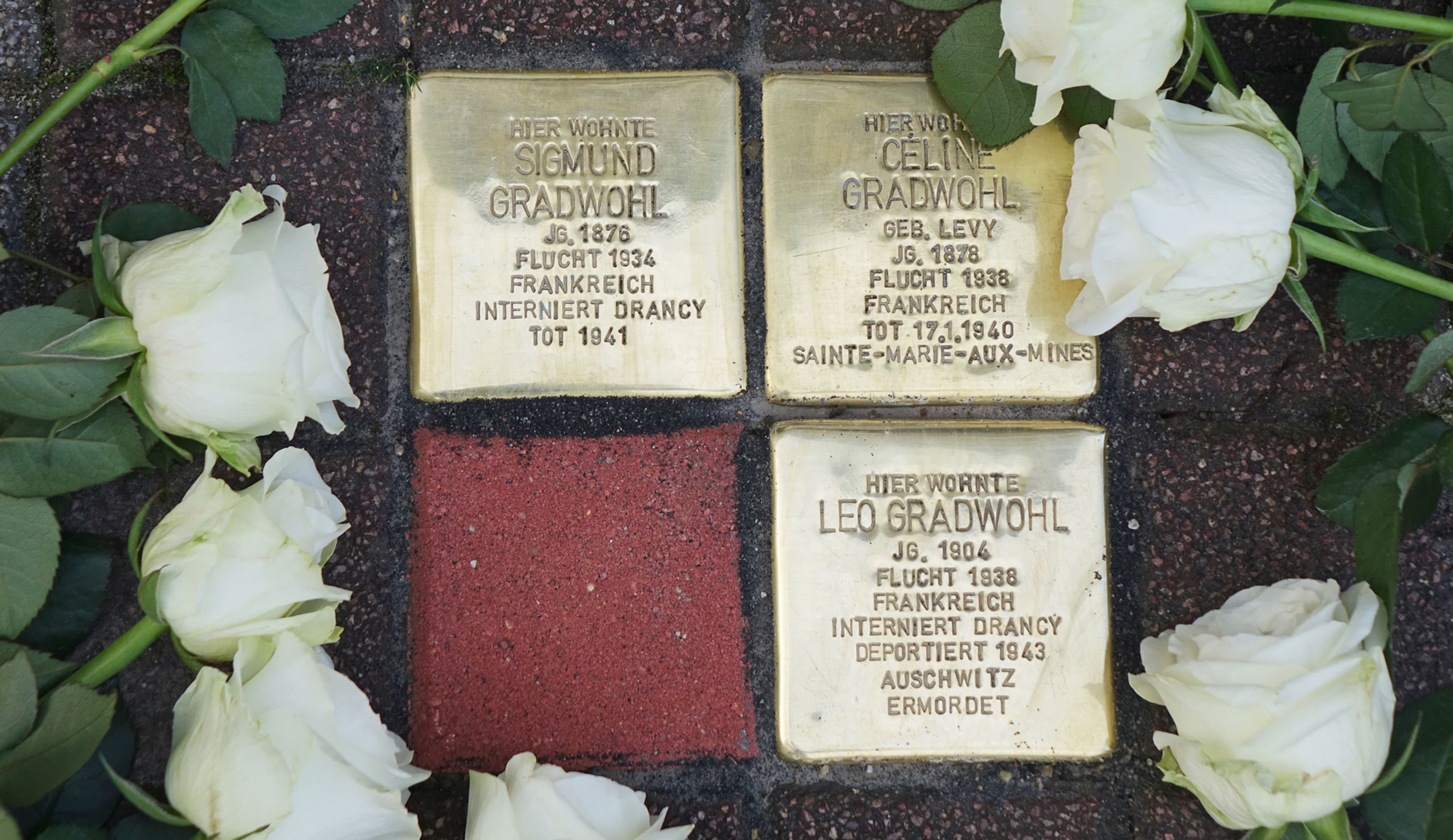 Neue Stolpersteine erinnern an Familie Gradwohl | Symbolbild