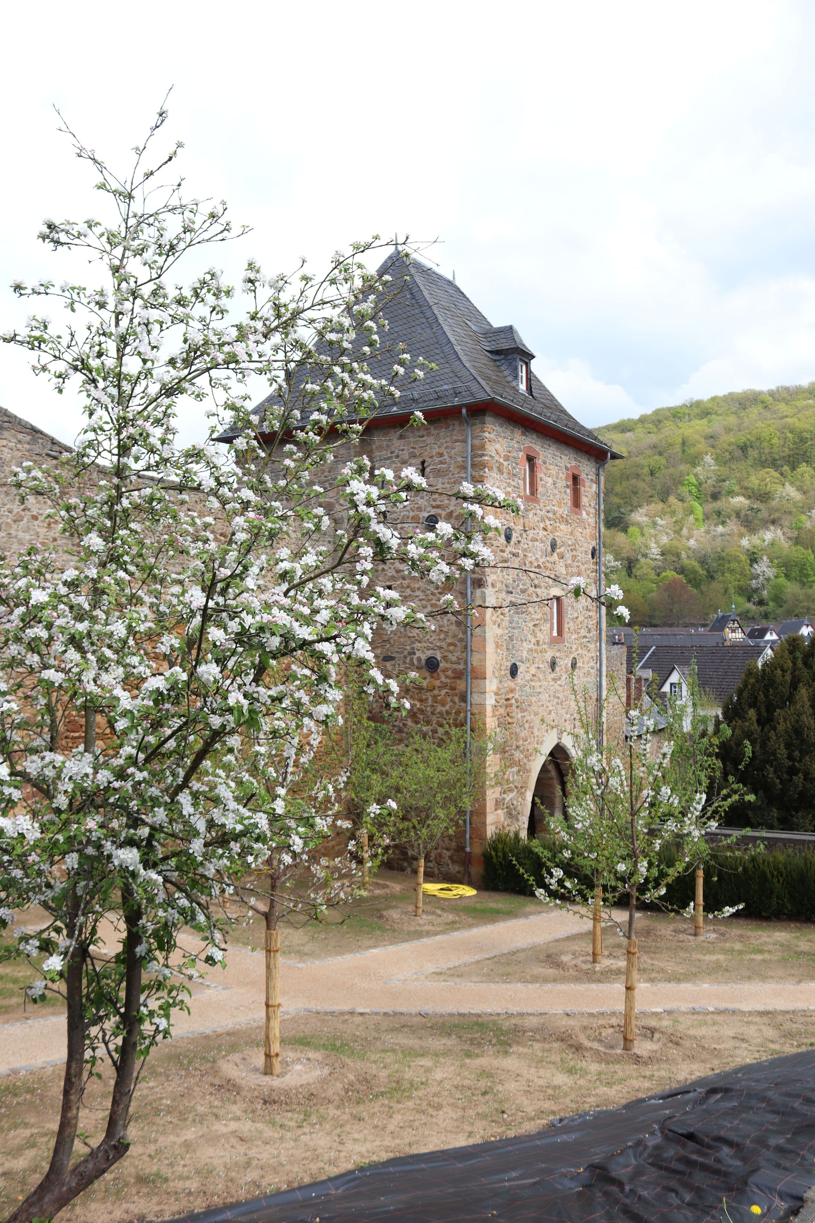 Bad Münstereifel präsentiert Stadtwandel am 10. Mai | Symbolbild