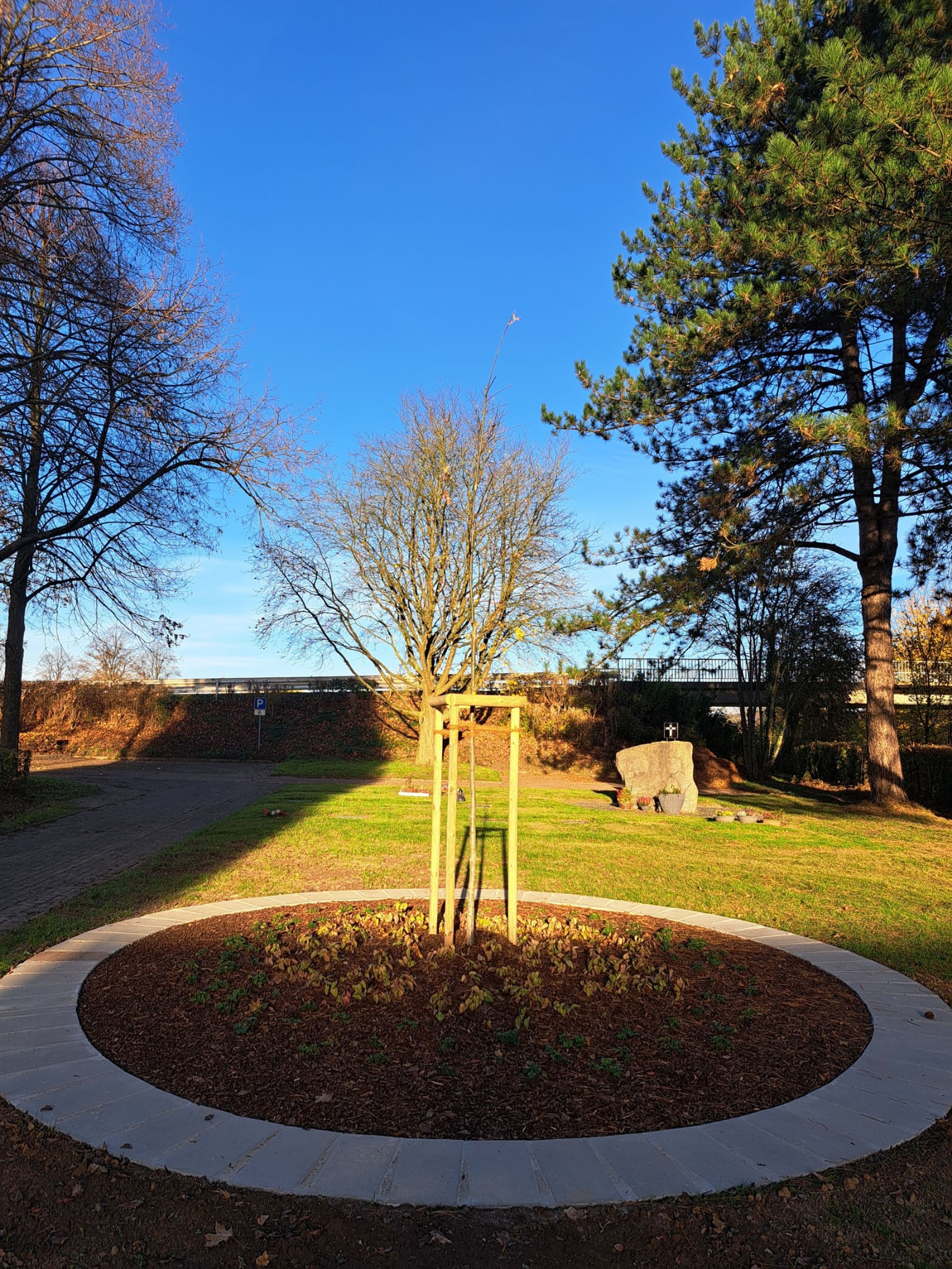Hameln fĂĽhrt Urnenbaumgrab-Bestattung ein | Symbolbild