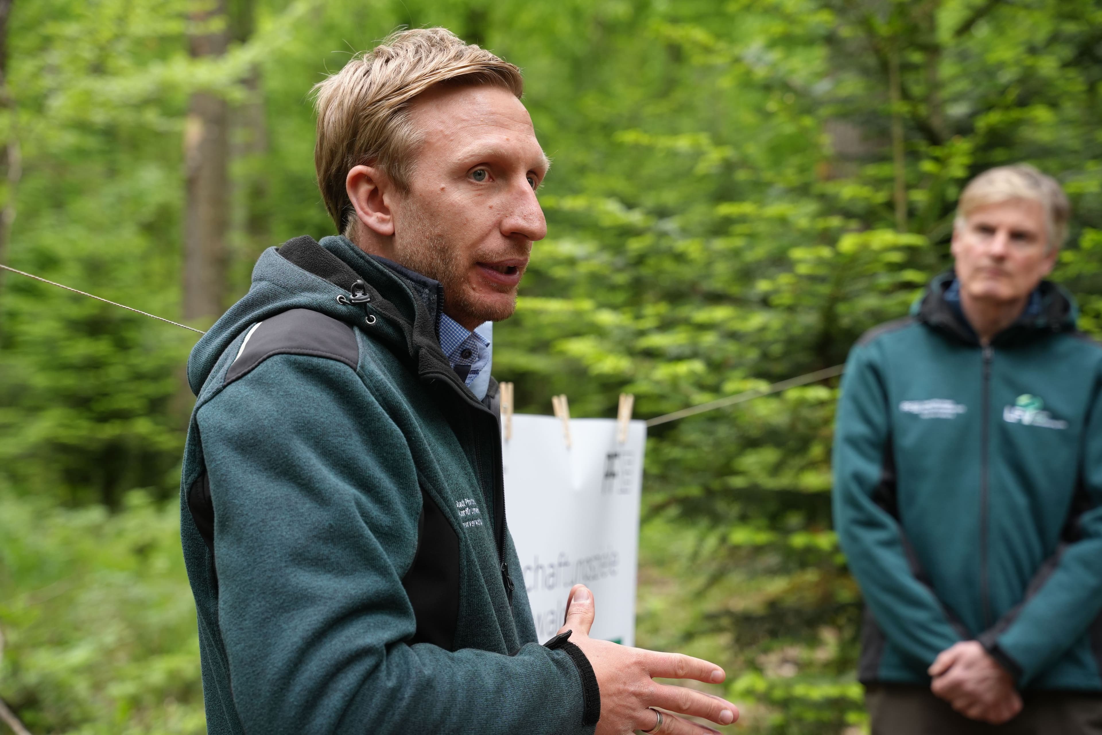 Stadtwald Klapfenhardt im Fokus: Maßnahmen für nachhaltigen Waldbau | Symbolbild