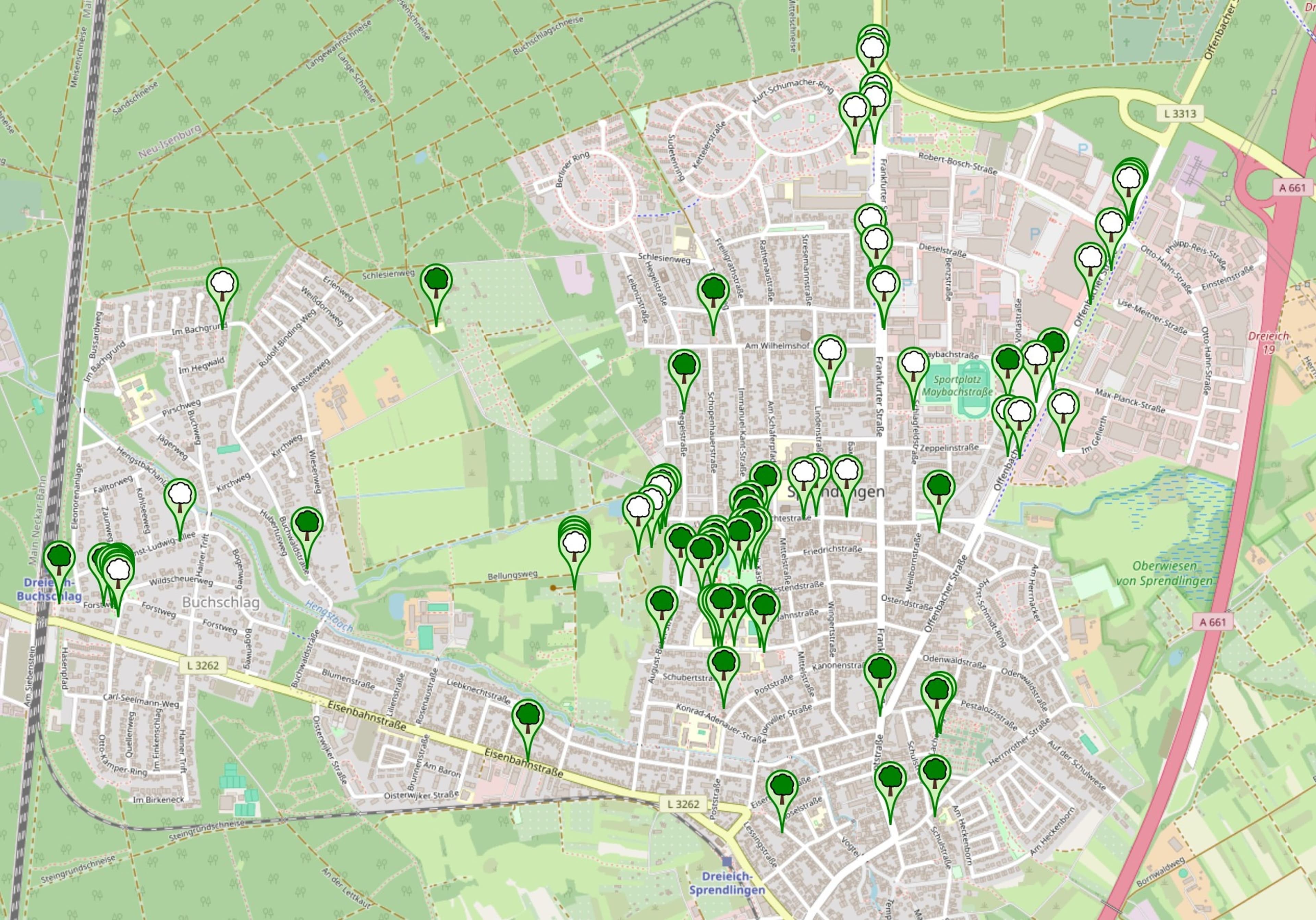 Dreieich wird grüner: Über 80 neue Bäume geplant | Symbolbild