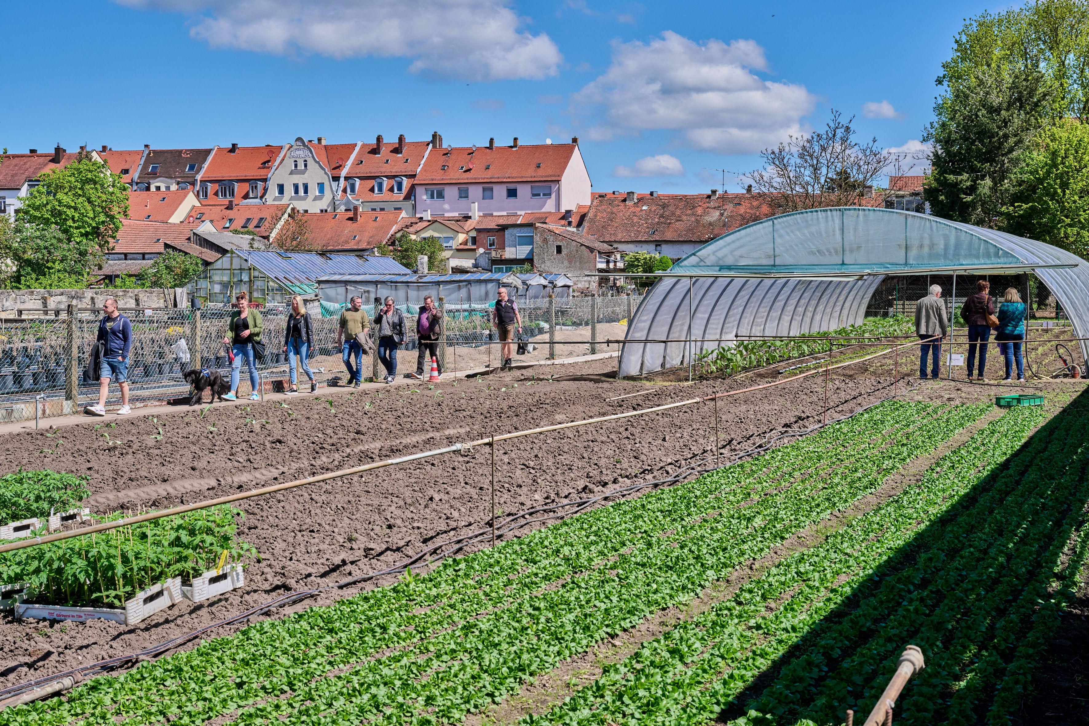 Bürgerwerkstatt in Bamberg: Klimaanpassung öffentlicher Flächen | Symbolbild