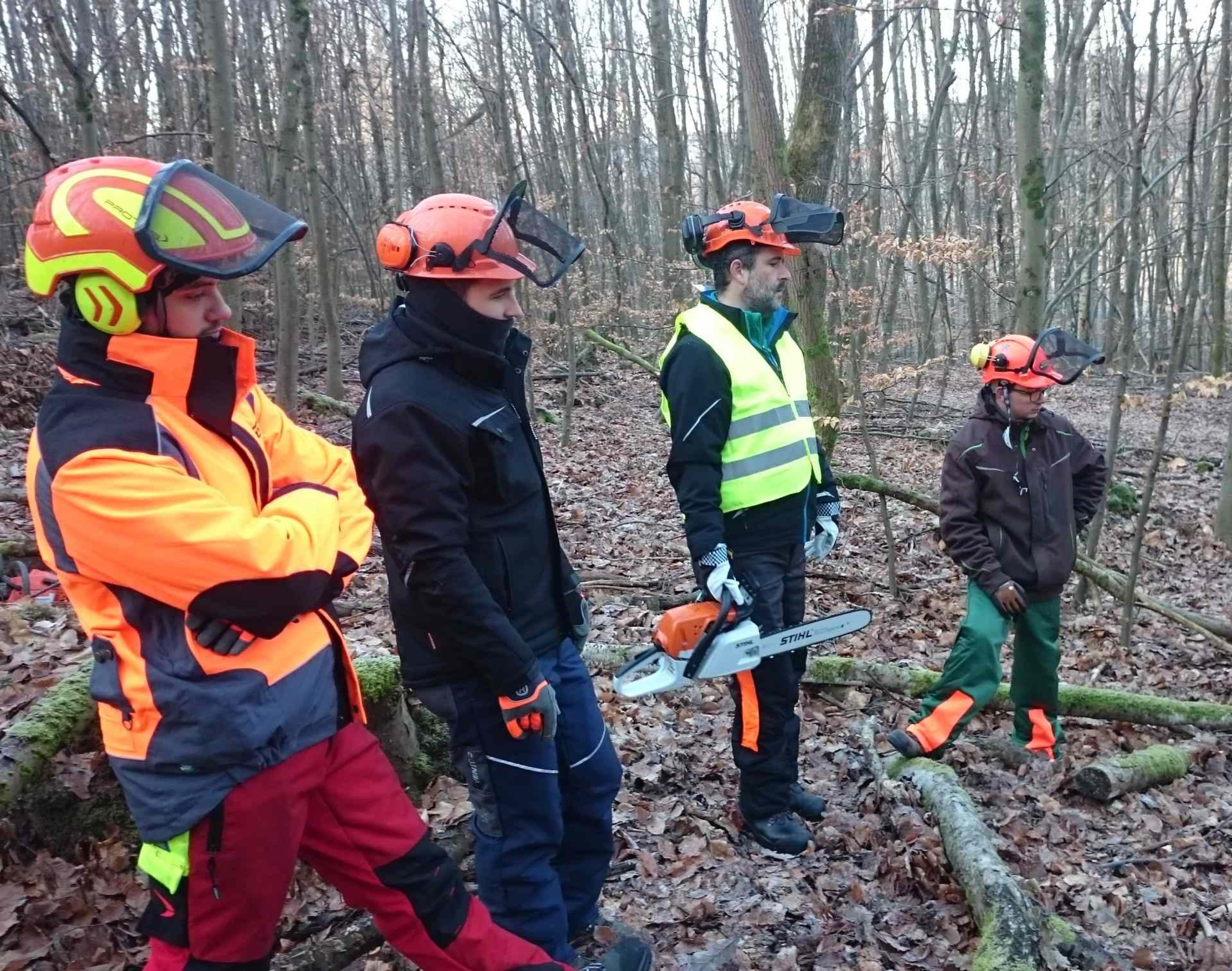 Teilnehmer schneiden mit Motorsägen unter Anleitung im Lehrgang der VHS St. Ingbert. Teilnehmer schneiden mit Motorsägen unter Anleitung im Lehrgang der VHS St. Ingbert.