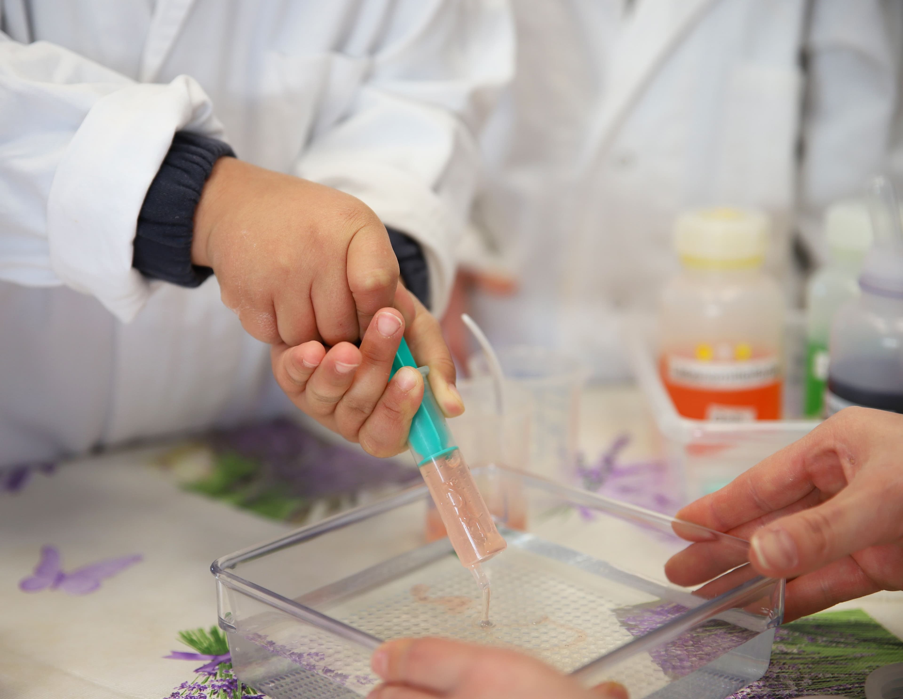 Der MarBiNa-Nachwuchspreis begeistert Schüler*innen aller Altersgruppen und Schularten für MINT-Fächer.