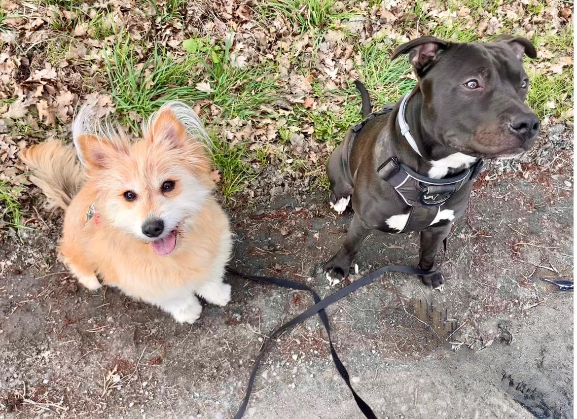 Bürgerinformationsveranstaltung zur Neuaufstellung des Flächennutzungsplans der Stadt Wesseling