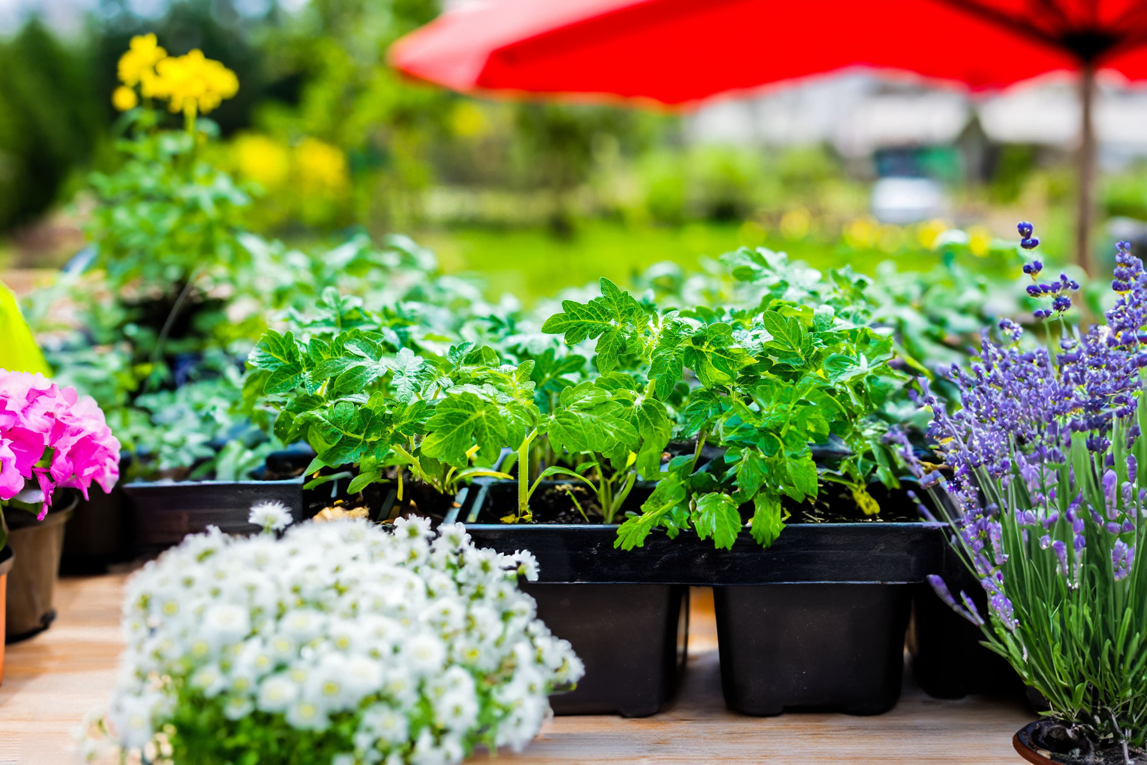 Schülerinnen und Schüler der Theodor-Heuss-Grund- und Werkrealschule bei einem Konzert der Berliner Philharmoniker im Festspielhaus Baden-Baden.
