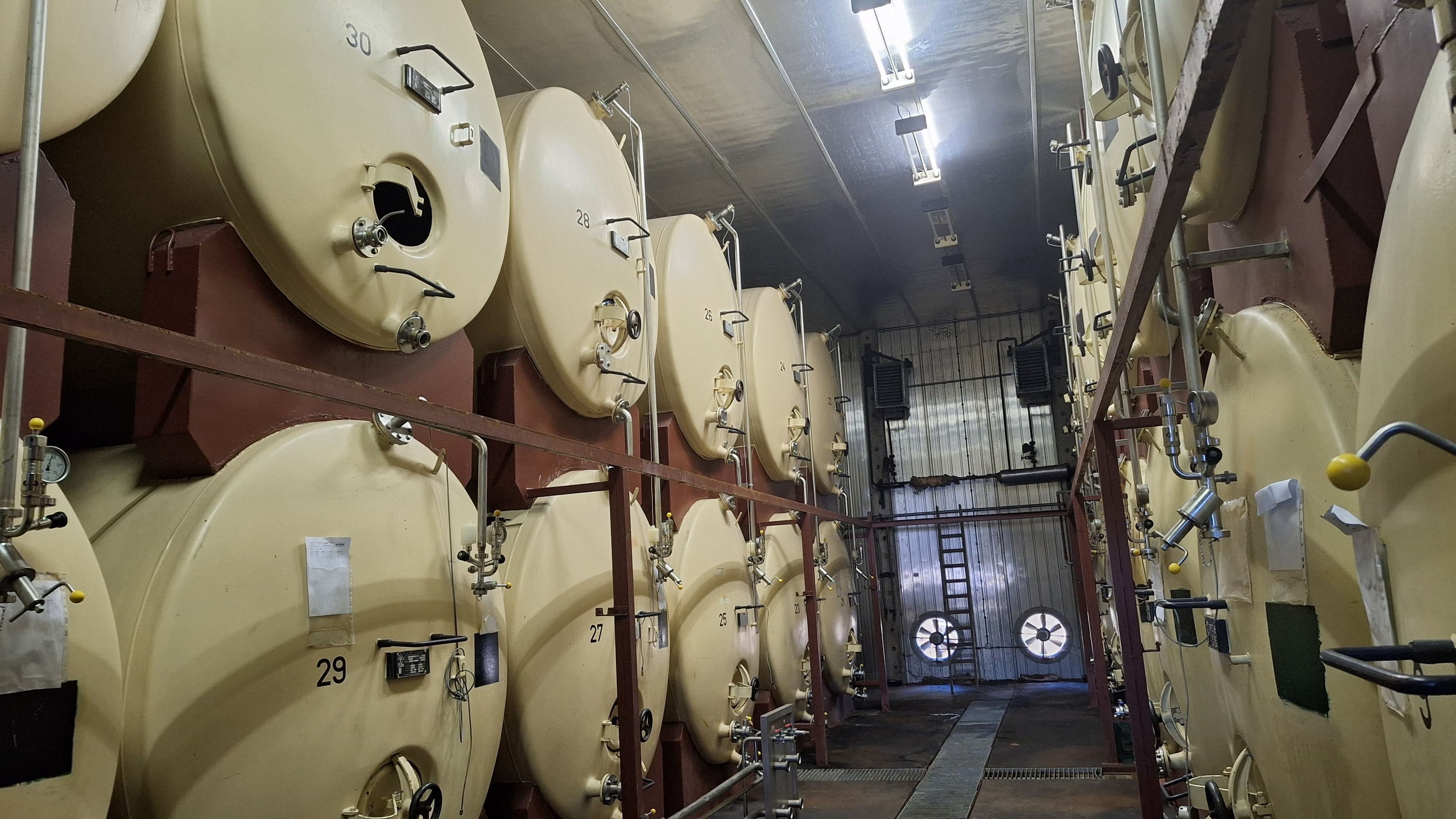 Kelterei Hosena feiert Rekordjahr mit 1.100 Tonnen Obst | Symbolbild