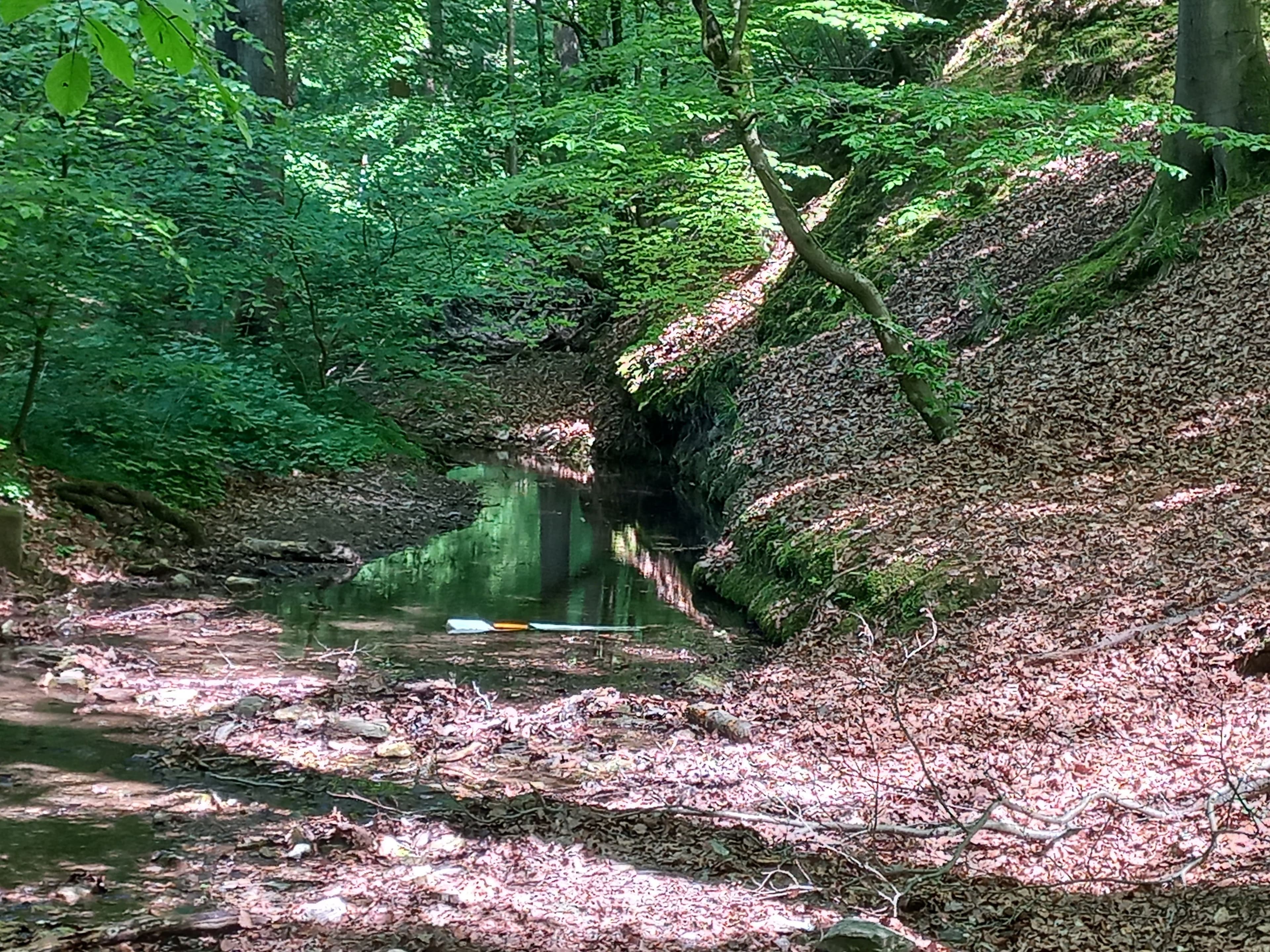 Schäden im Naturschutzgebiet Dörngraben | Symbolbild