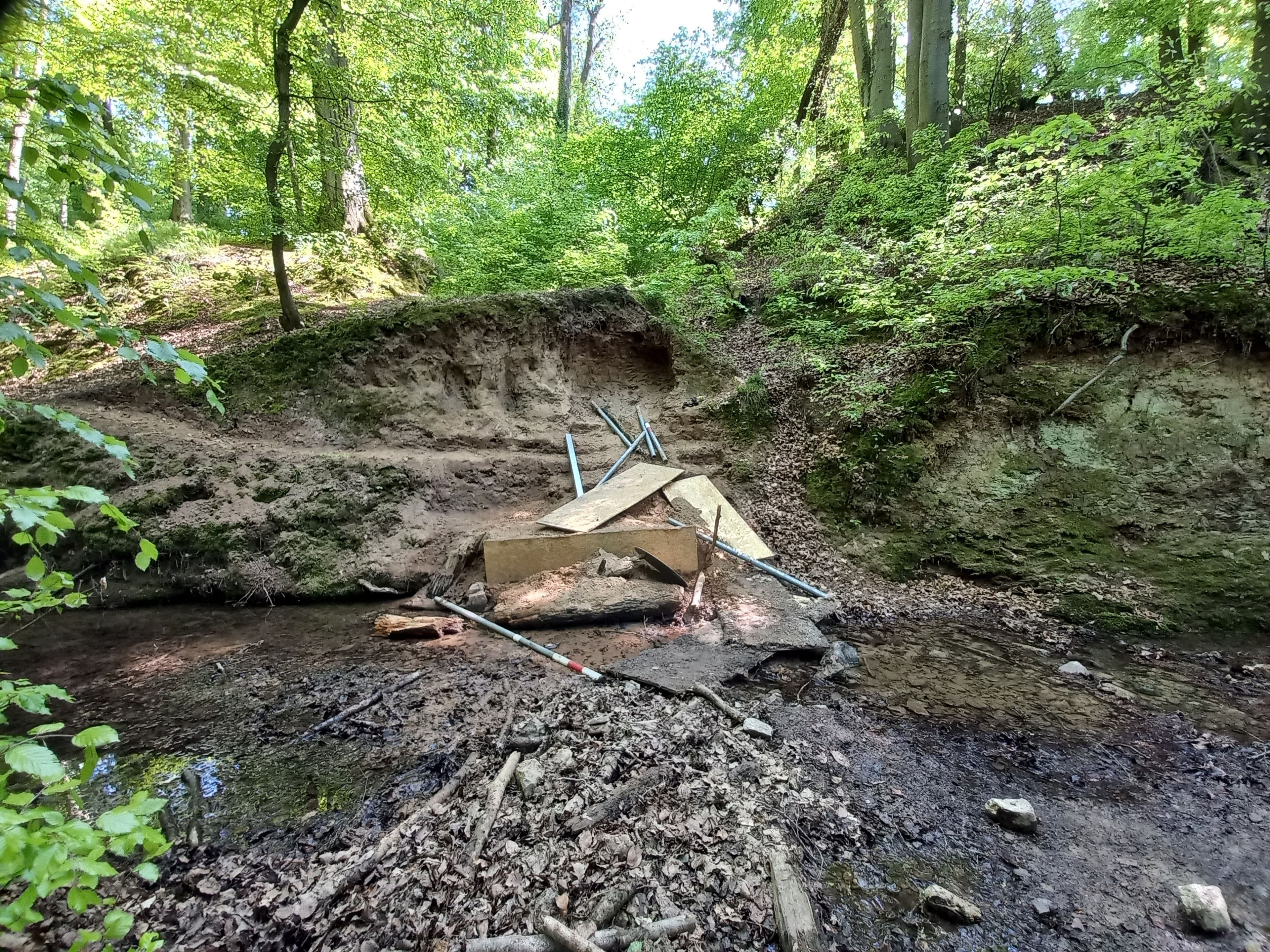 Beschädigungen am Ufer des Naturschutzgebiets Dörngraben bei Haibach gefährden Eisvögel.