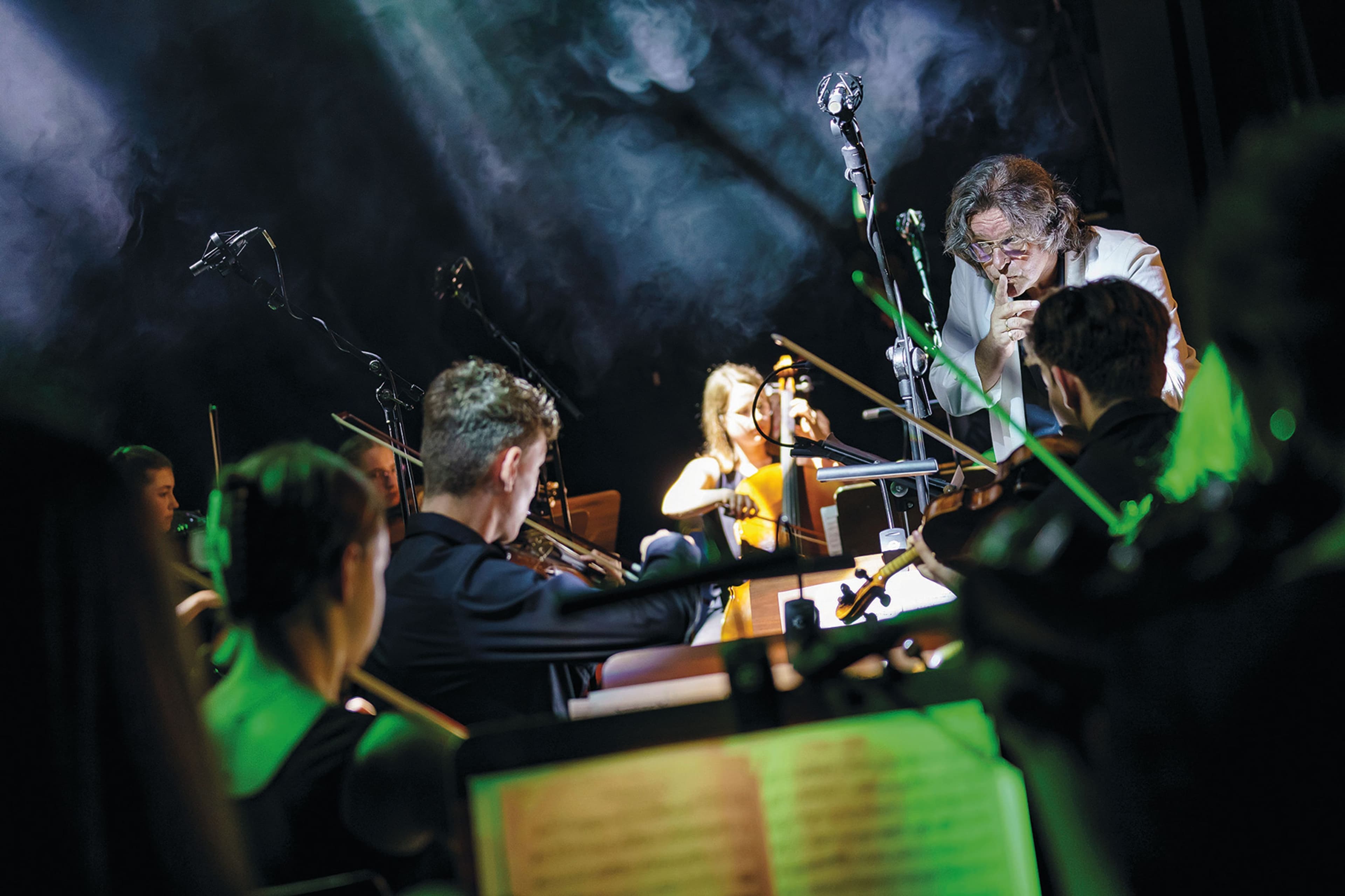 Die Sinfonietta spielt Mozart beim Rosenabend, dem Fest der leisen Töne im Lahrer Stadtpark.