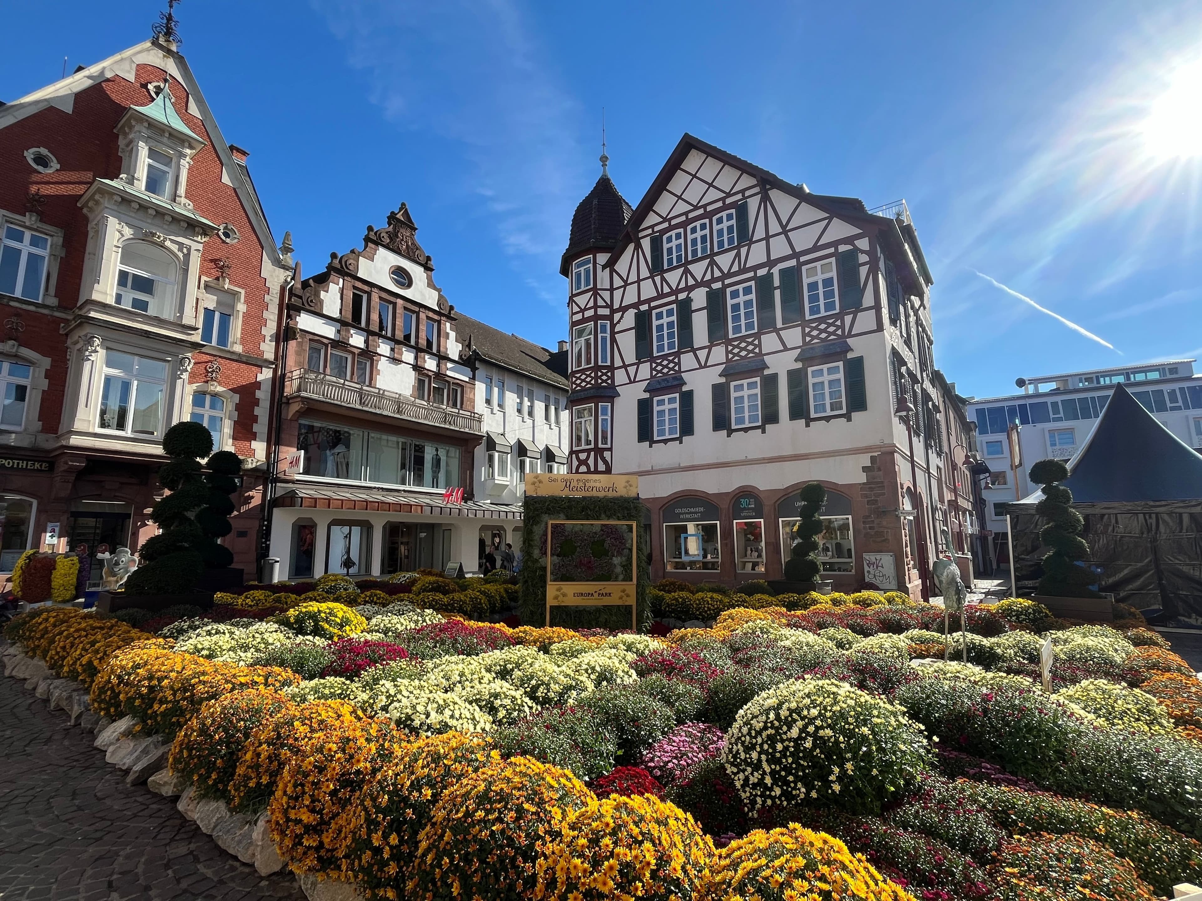 Sonnenplatz in Lahr während der Chrysanthema mit herbstlicher Blumenpracht.