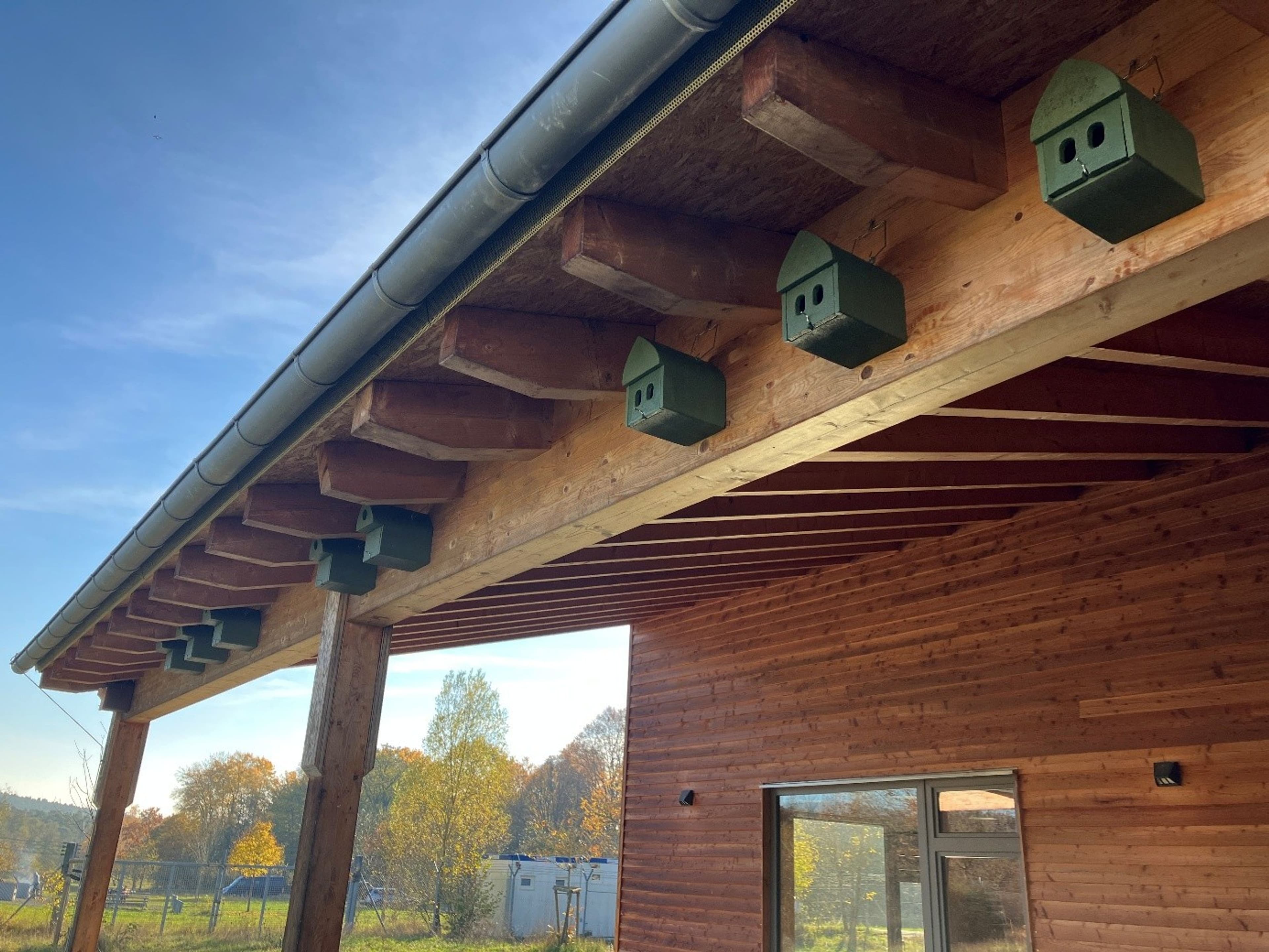 Aschaffenburg macht Gebäude vogelfreundlich | Symbolbild