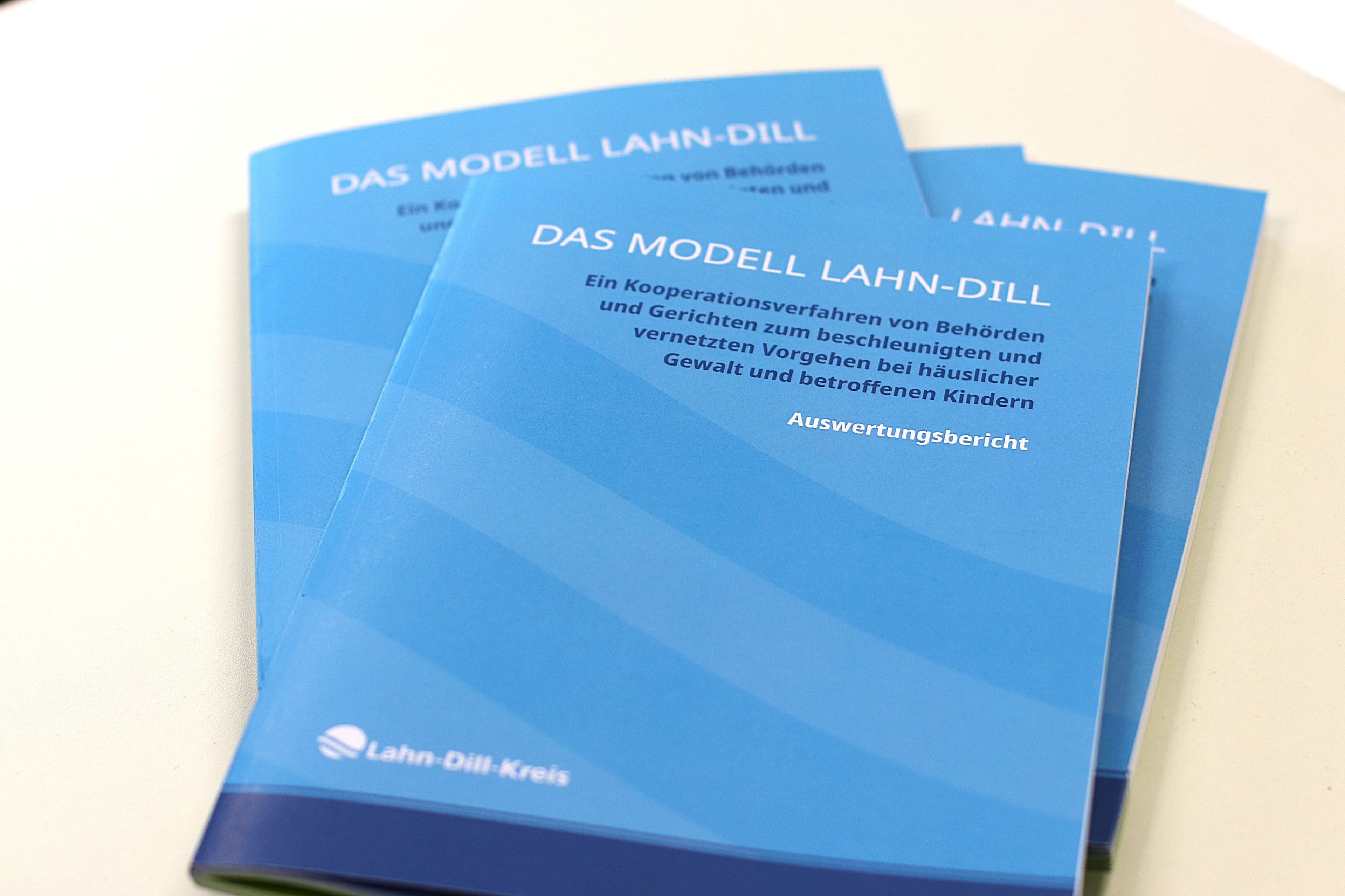 Beteiligte hinter dem Modell Lahn-Dill auf einer Veranstaltung zum Internationalen Tag gegen Gewalt an Frauen., Das Modell Lahn-Dill: Auswertungsbericht wird vorgestellt, Symbol gegen Gewalt an Frauen.