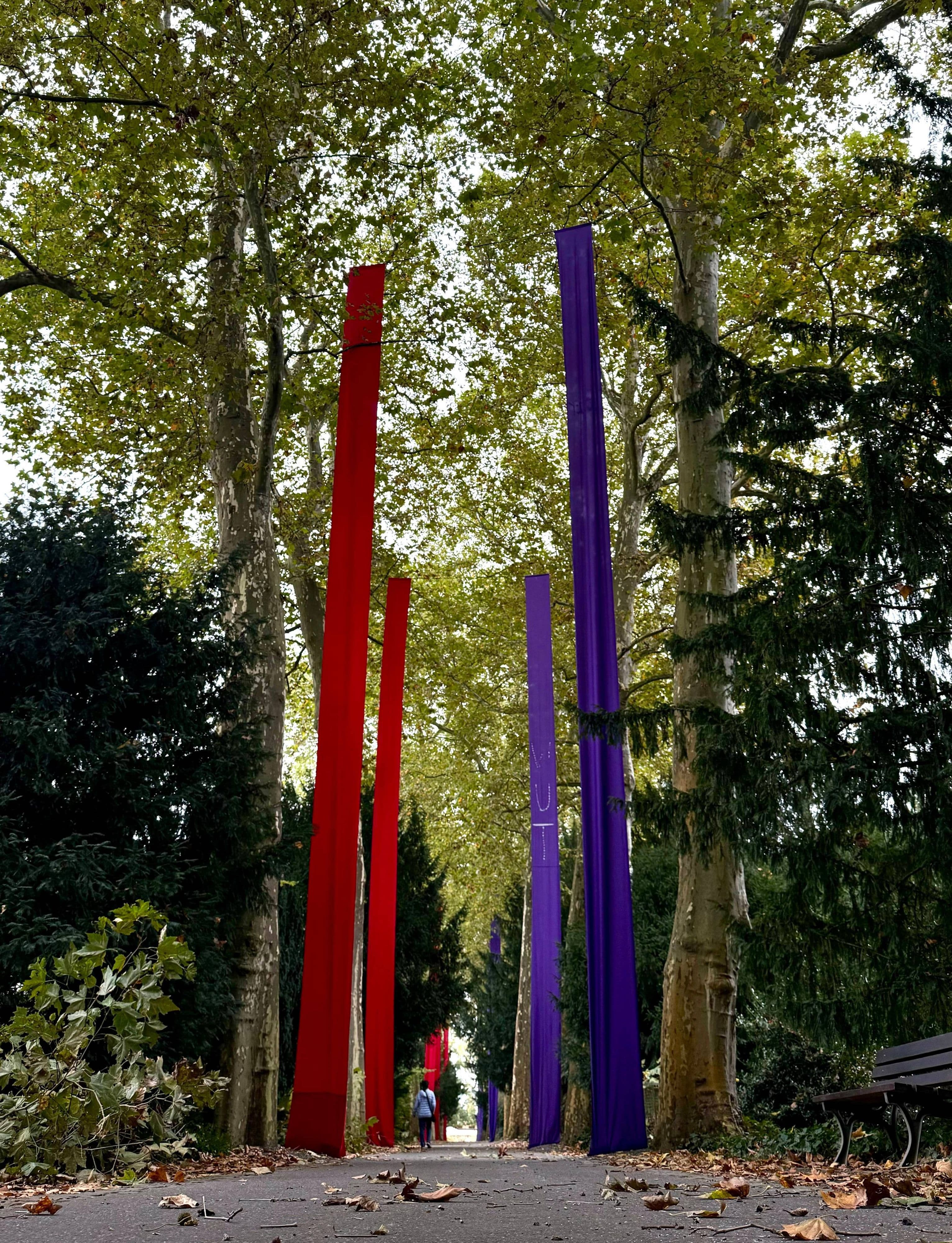 Bruder Stephan Oppermann installiert farbige Stoffbahnen in der Platanenallee des Koblenzer Hauptfriedhofs für die Kunstinstallation "Achsenwechsel – Stationen des Lebens".