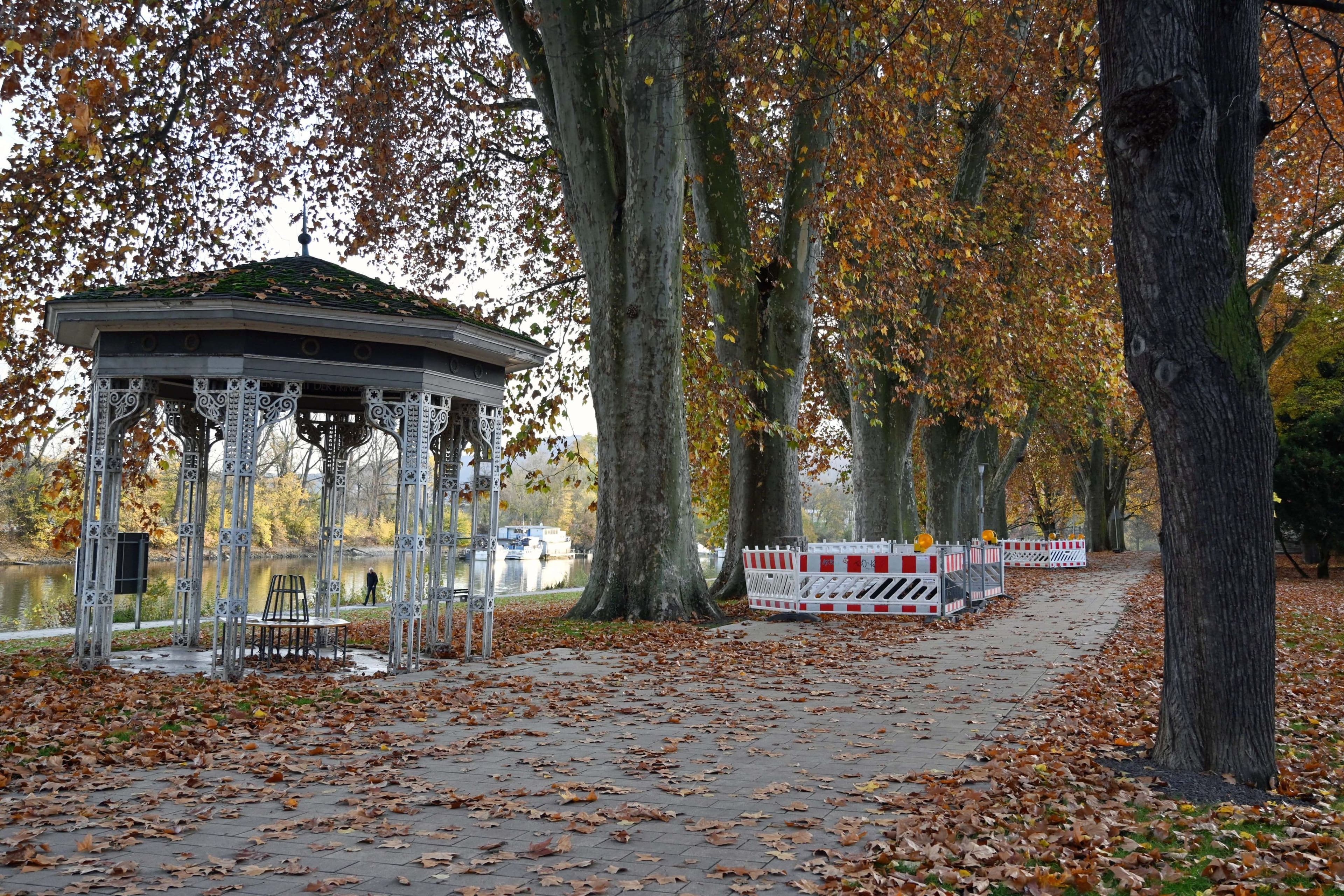 Neuer Weg am Luisentempel wurde geöffnet, um Setzungen an den Wurzelschutzgittern zu beheben.