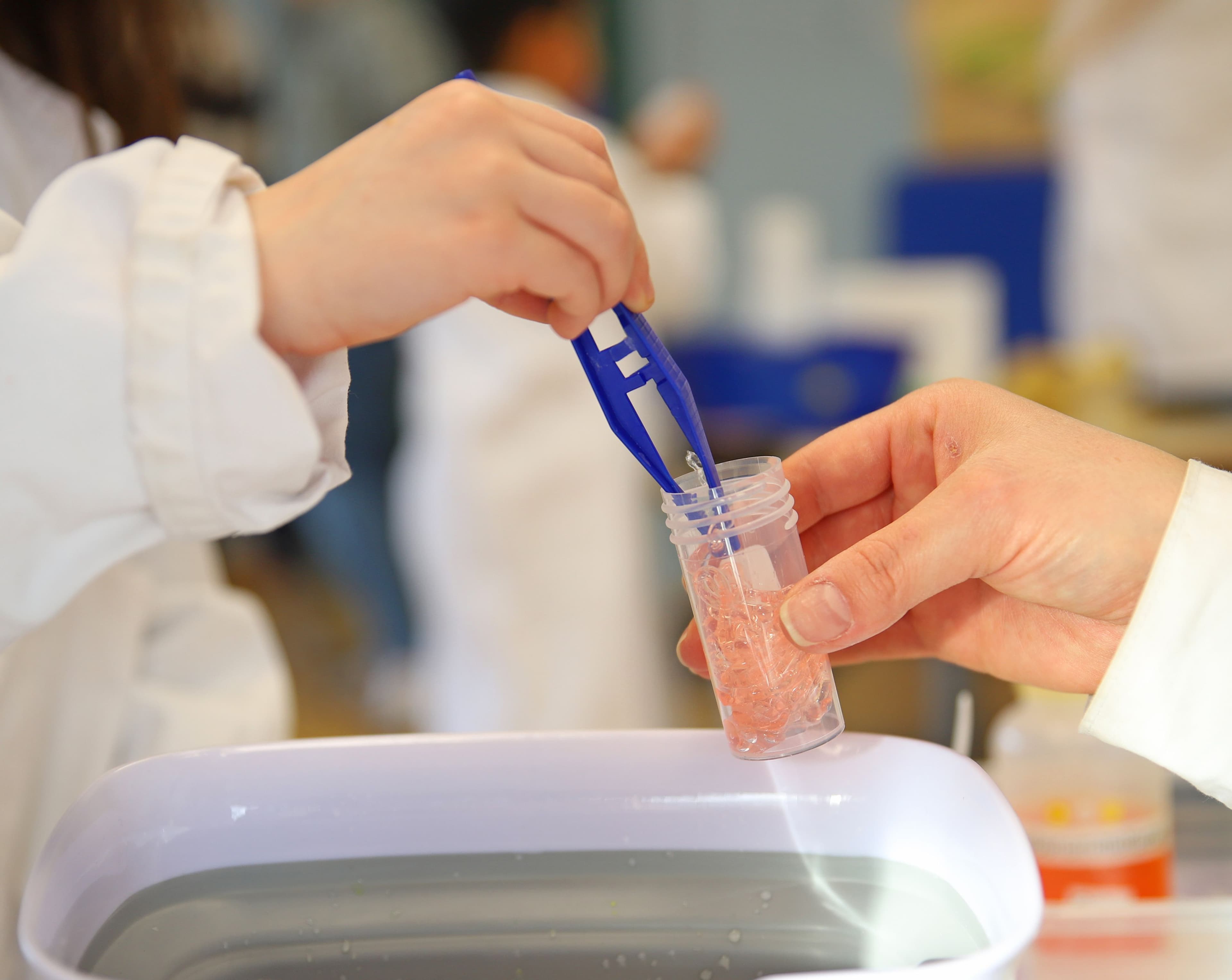 MarBiNa-Nachwuchspreis startet in Marburg | Symbolbild