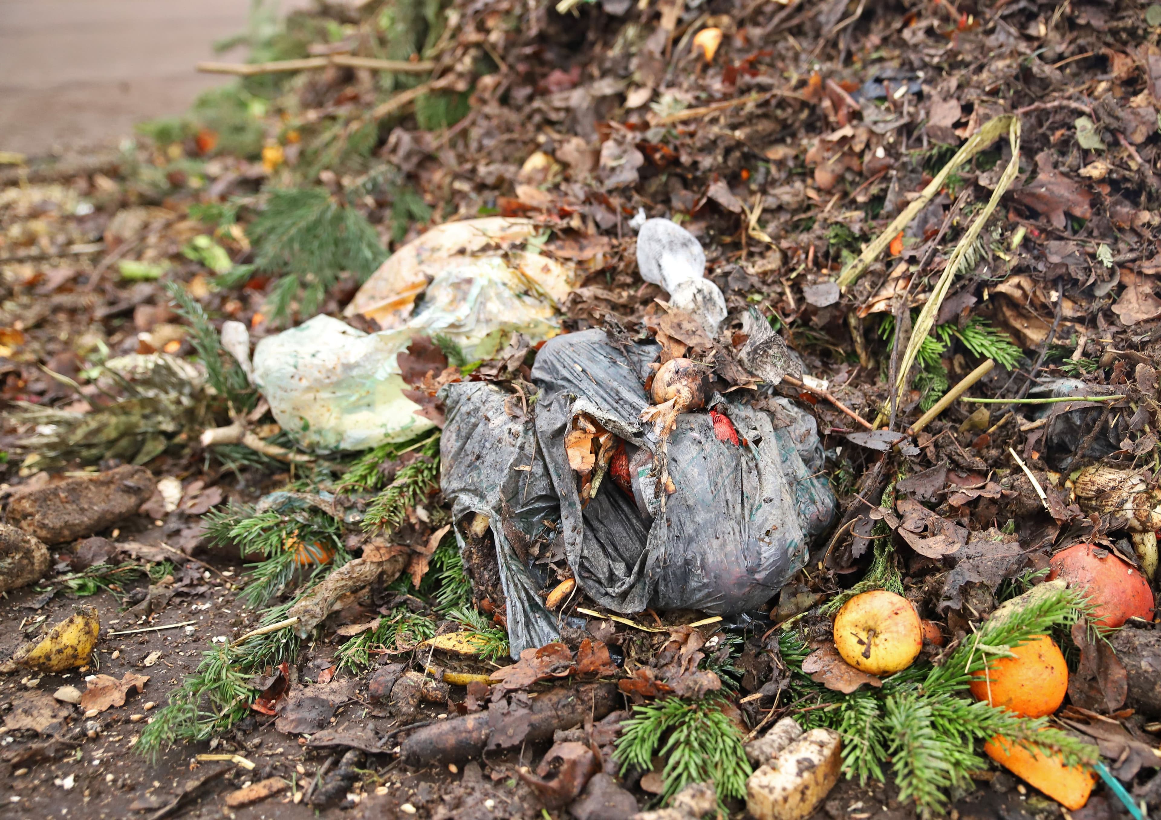 Bürgermeisterin Nadine Bernshausen und weitere Verantwortliche präsentieren die Kampagne „Stopp! Kein Plastik in die Biotonne“, die Bürger über die richtige Entsorgung von Bioabfällen informieren soll.