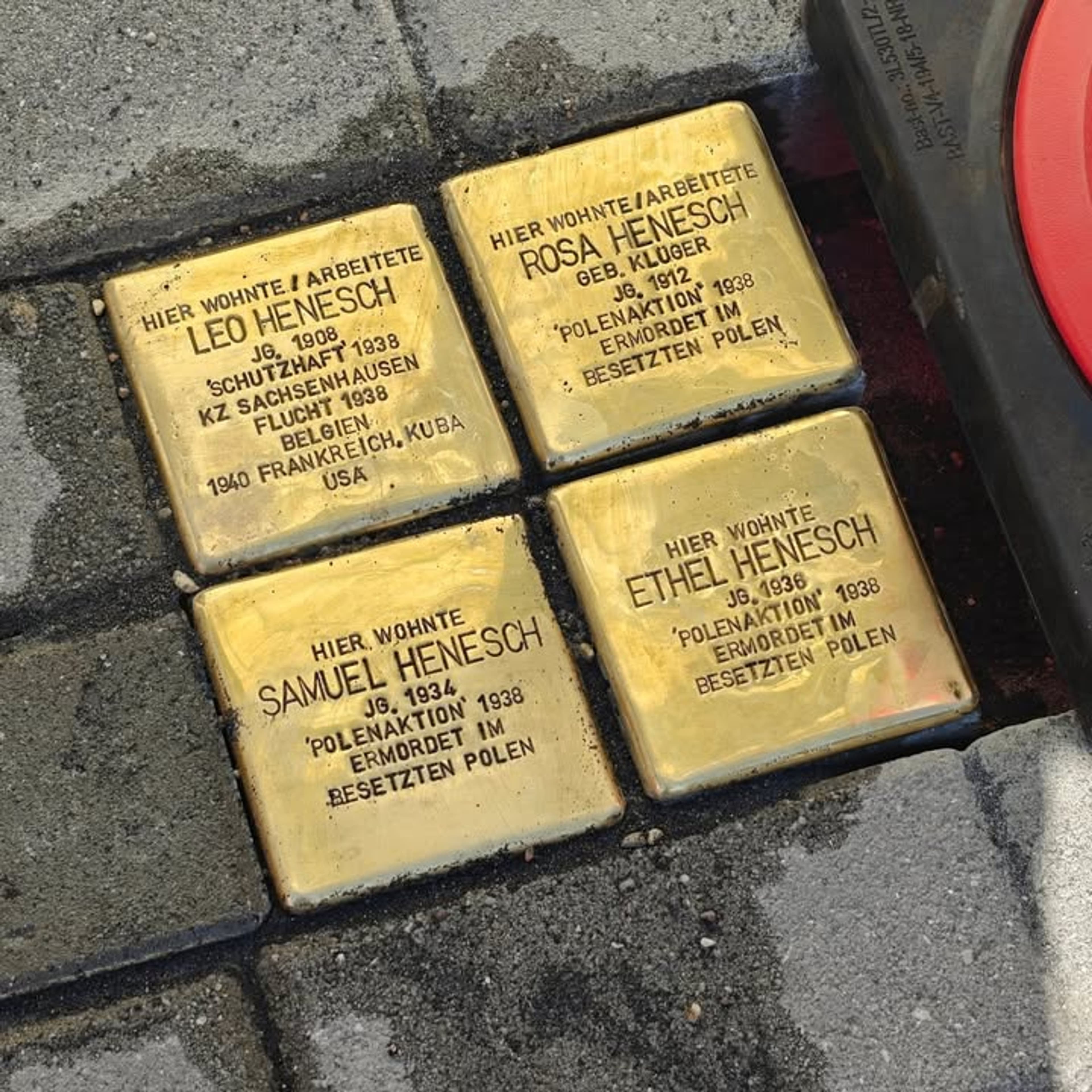 Neue Stolpersteine in Finsterwalde erinnern an NS-Opfer | Symbolbild