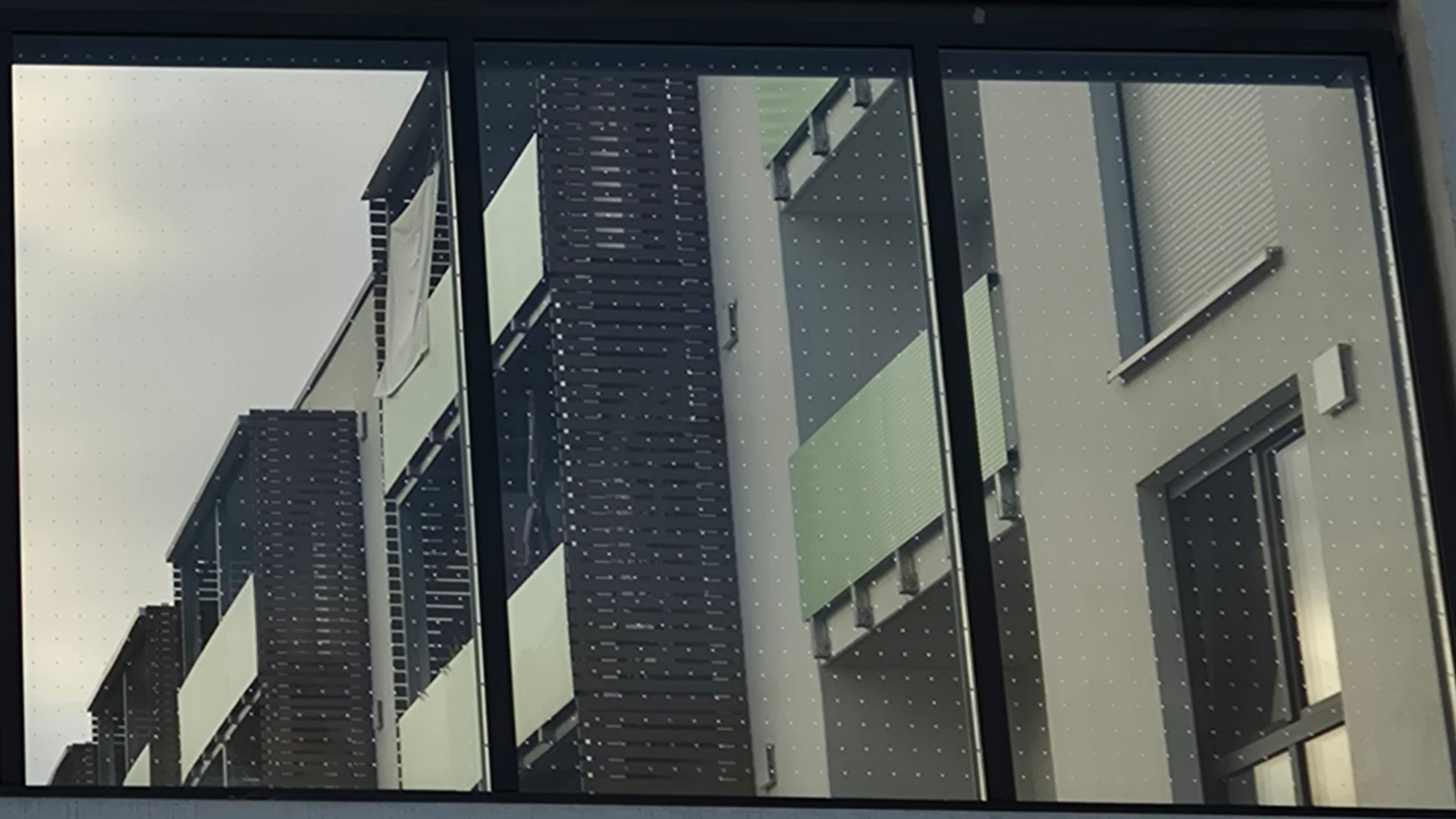 Vogelschutz am Münchner Ring: Gläserne Wand wird sicherer | Symbolbild