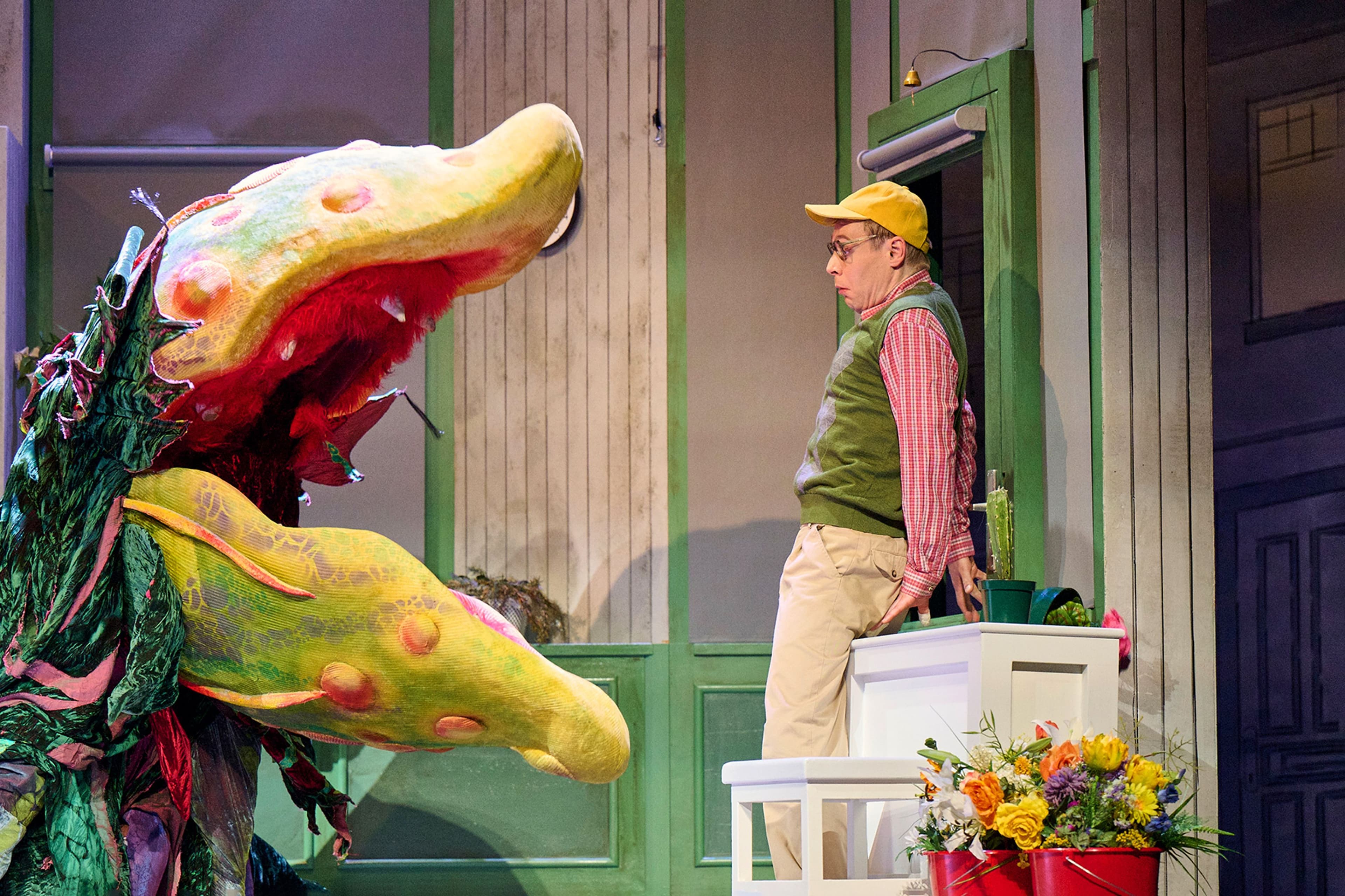 Das beliebte Kult-Musical 'Der kleine Horrorladen' wird am 02. April 2025 im Theater an der Wilhelmshöhe in Lingen aufgeführt. Die Aufführung verspricht ein unvergessliches Erlebnis mit einer erstklassigen Live-Band.