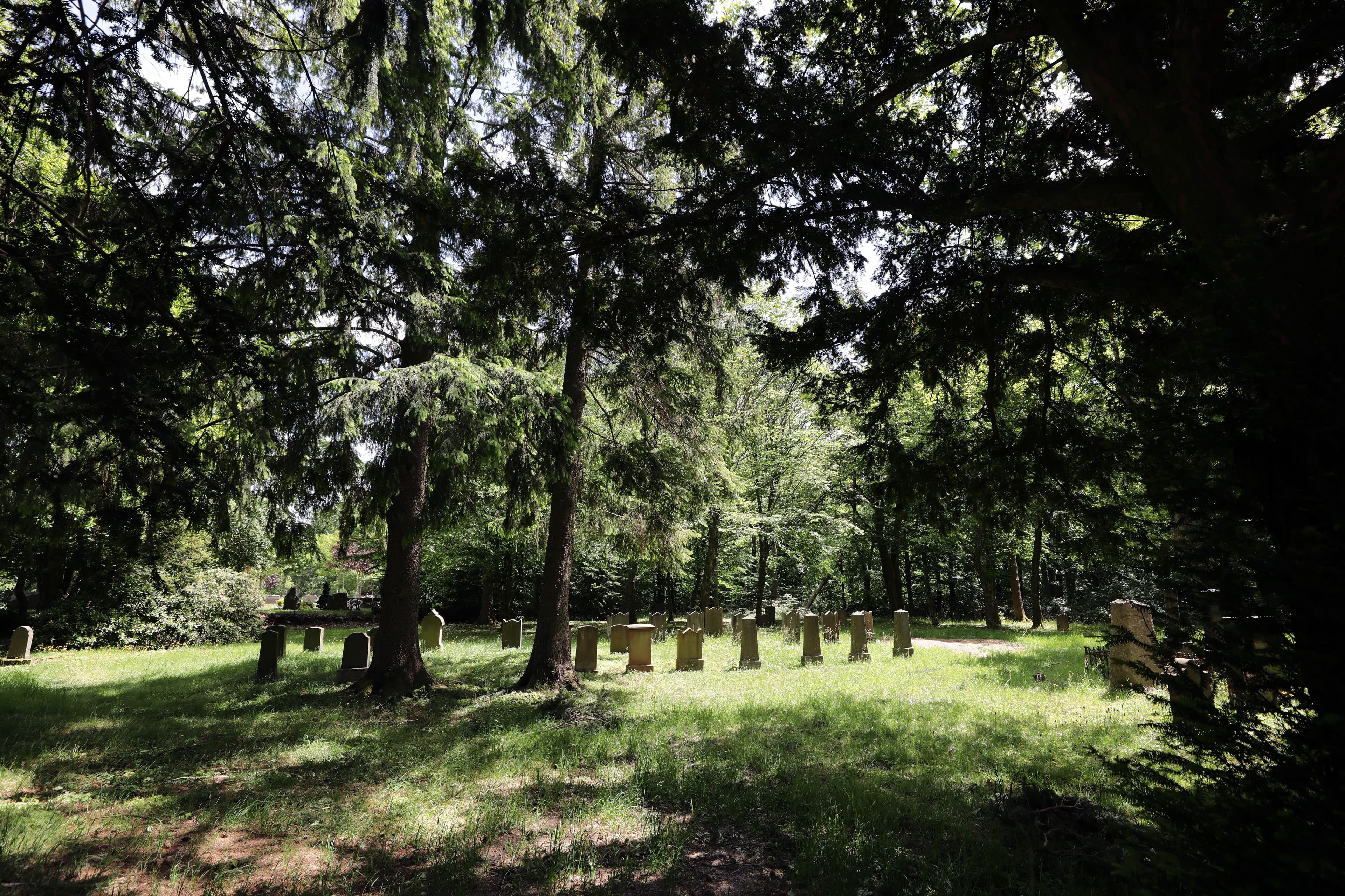 Bahnübergang in Hämelerwald voll gesperrt aufgrund von Bauarbeiten