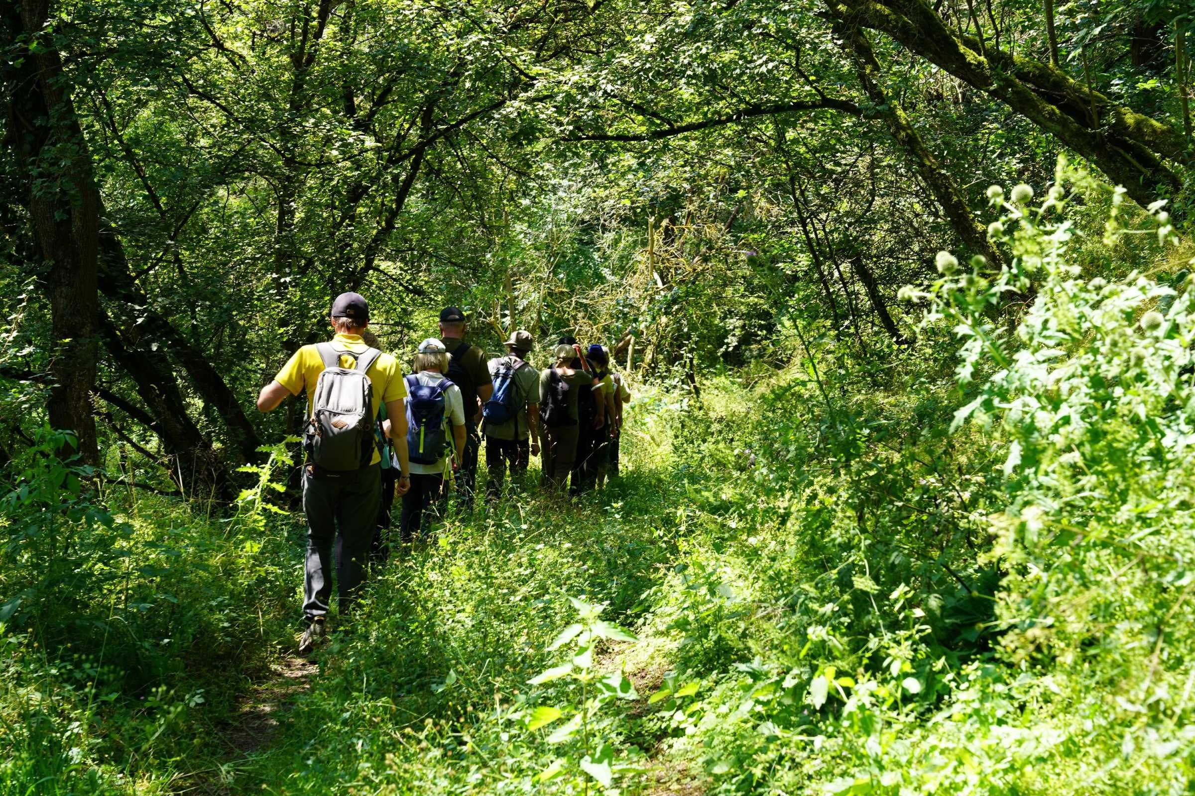 DAV-Mitglieder und FÖJlerin Ariane Wacker seilen sich am Salzachhang ab, um Müll zu sammeln.