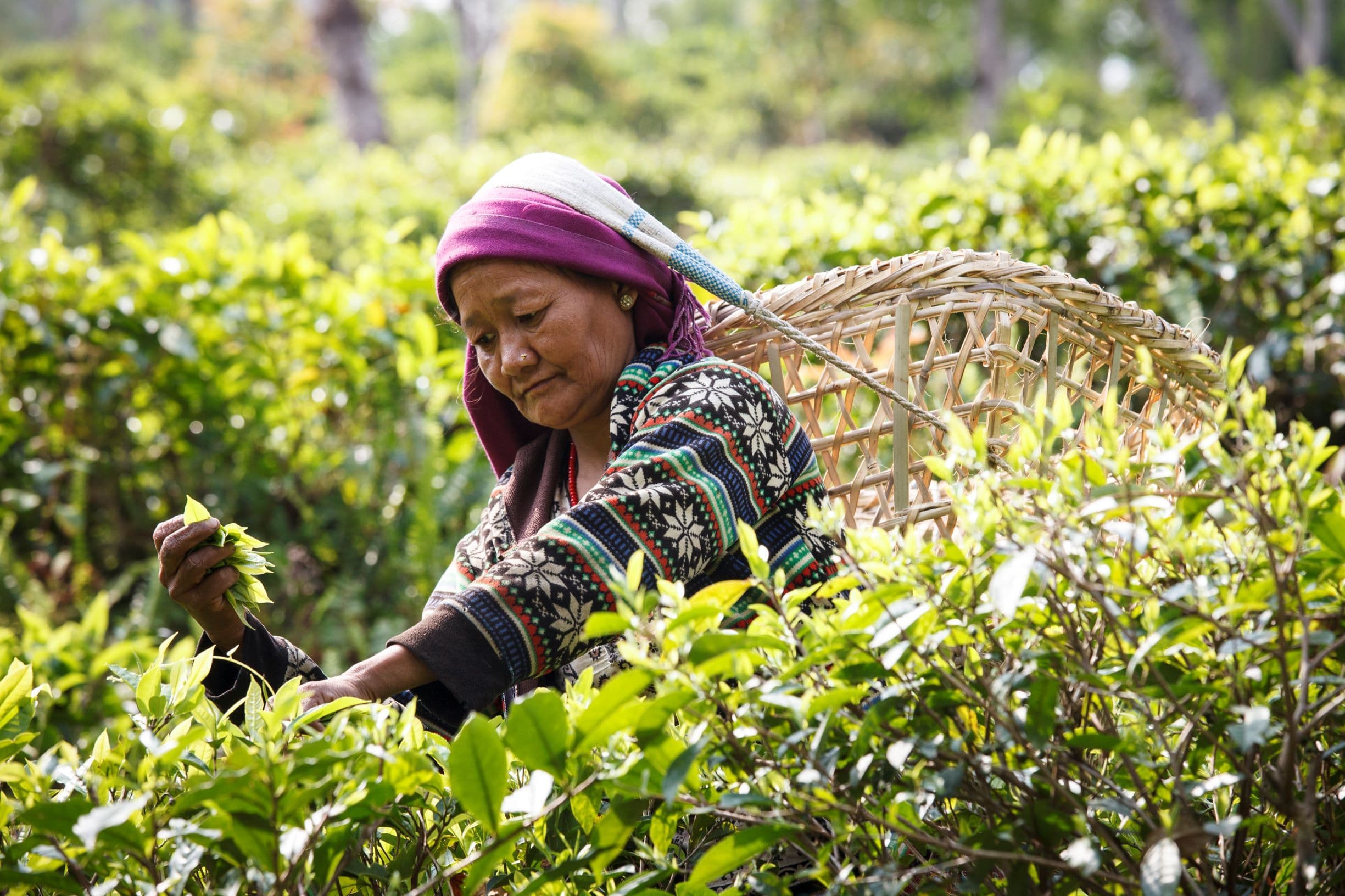 Überwältigende Solidarität für Jugendfeuerwehrmann Louis | Symbolbild