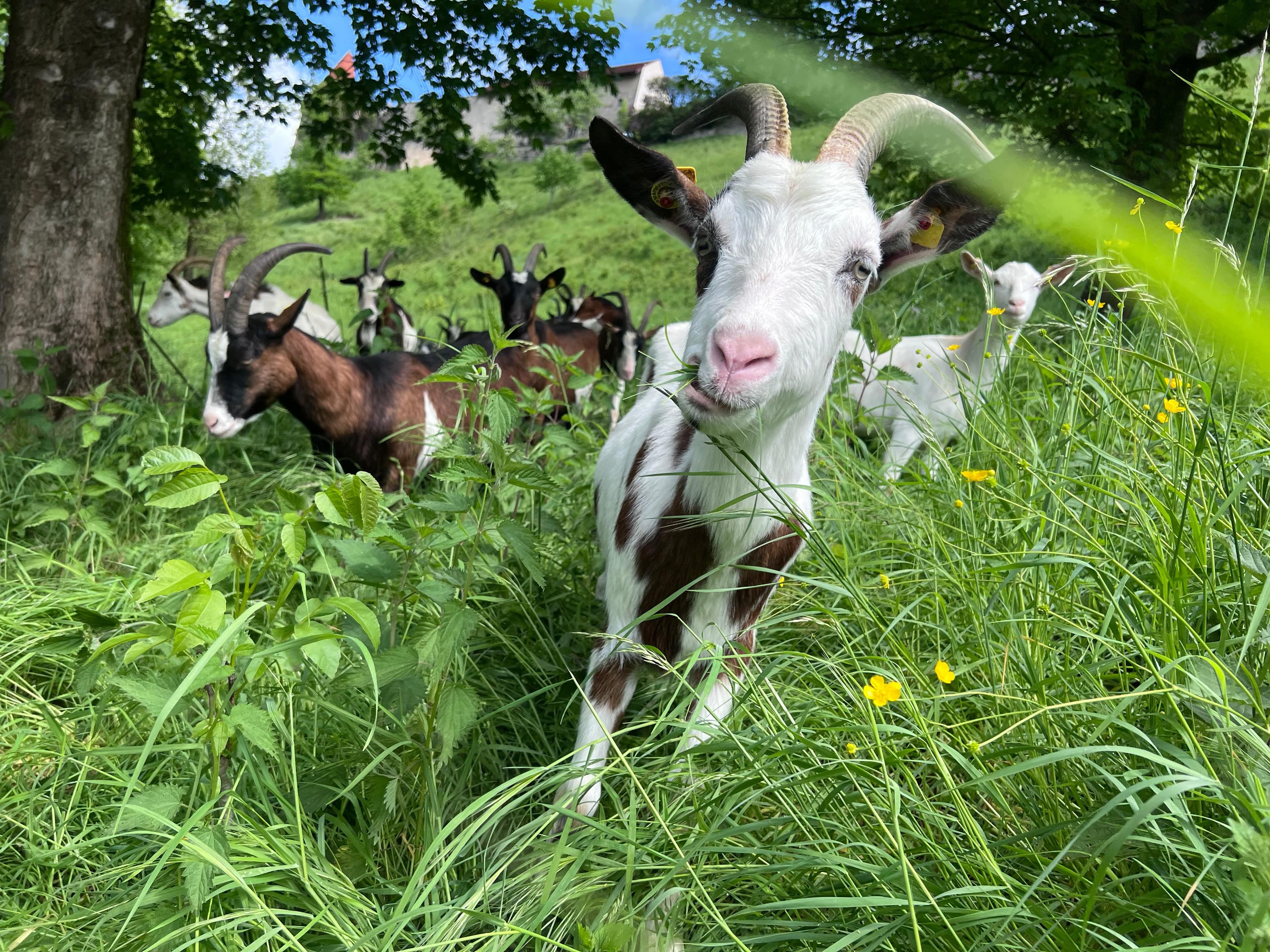 Bauarbeiten an der Horlecke: Die Iserlohner Landstraße wird halbseitig gesperrt
