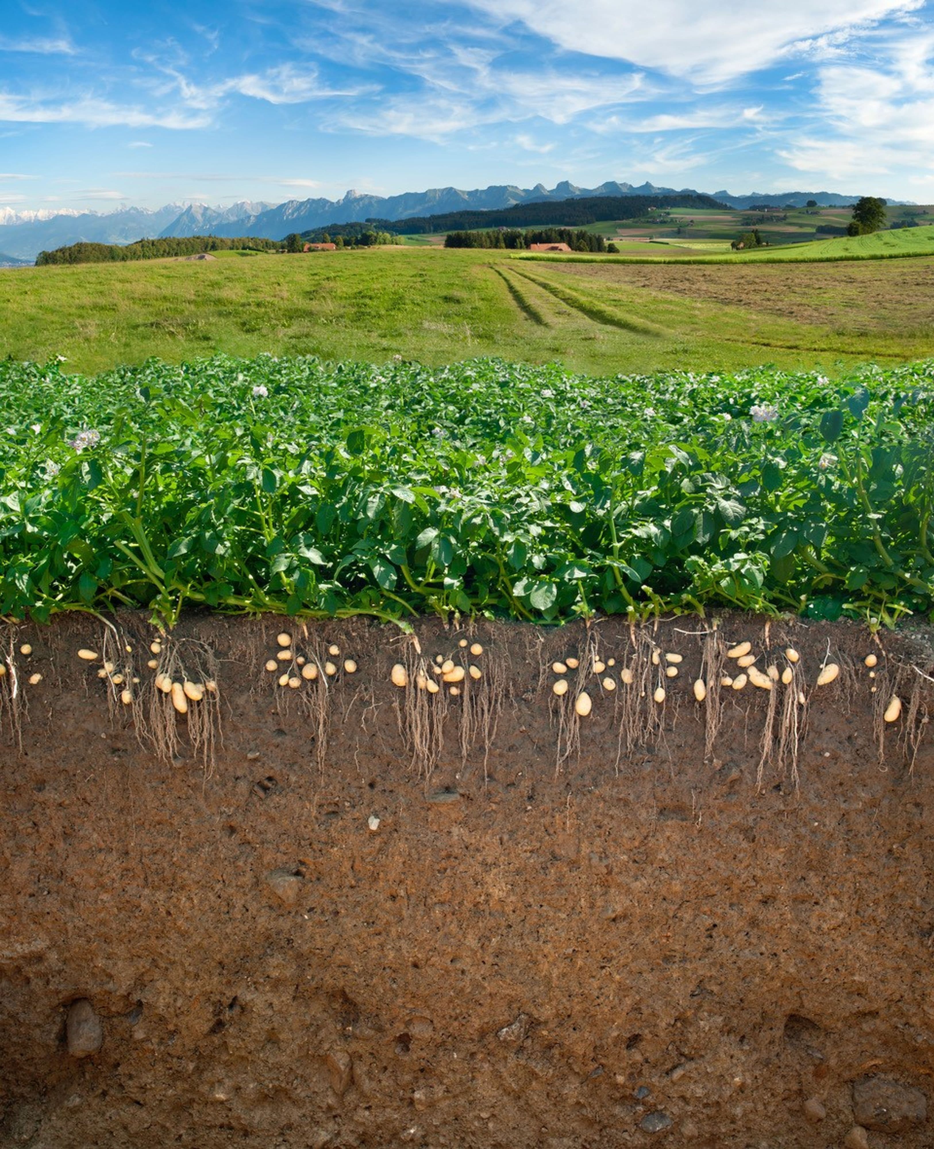Bodenprofil zeigt die verschiedenen Schichten des Bodens als Grundlage fĂŒr die Gesundheit., PortrĂ€tfoto eines Referenten der Nachhaltigkeitskonferenz in Neumarkt.