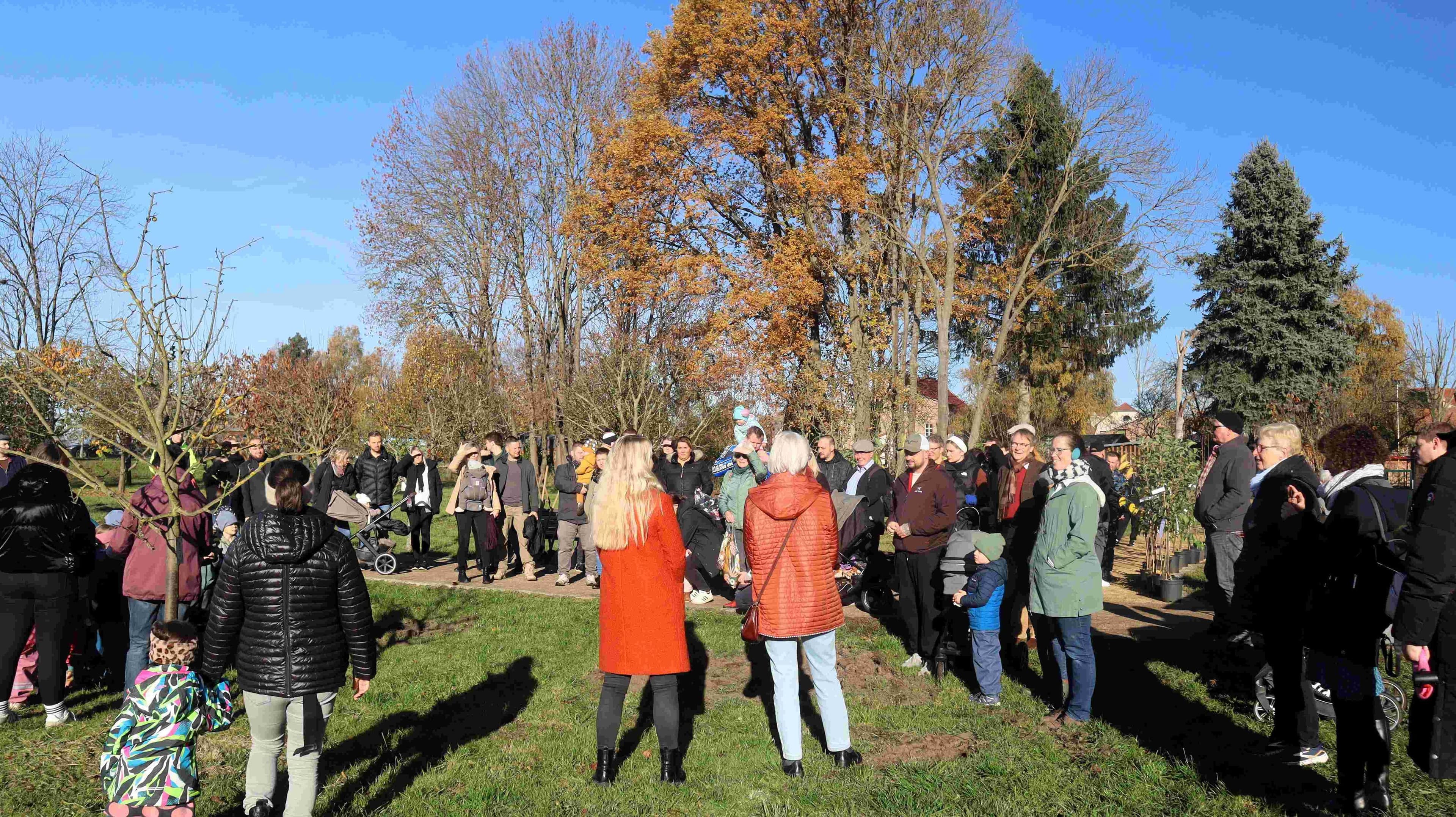 Beelitz pflanzt Zukunft: 33 Obstbäume für Familien | Symbolbild