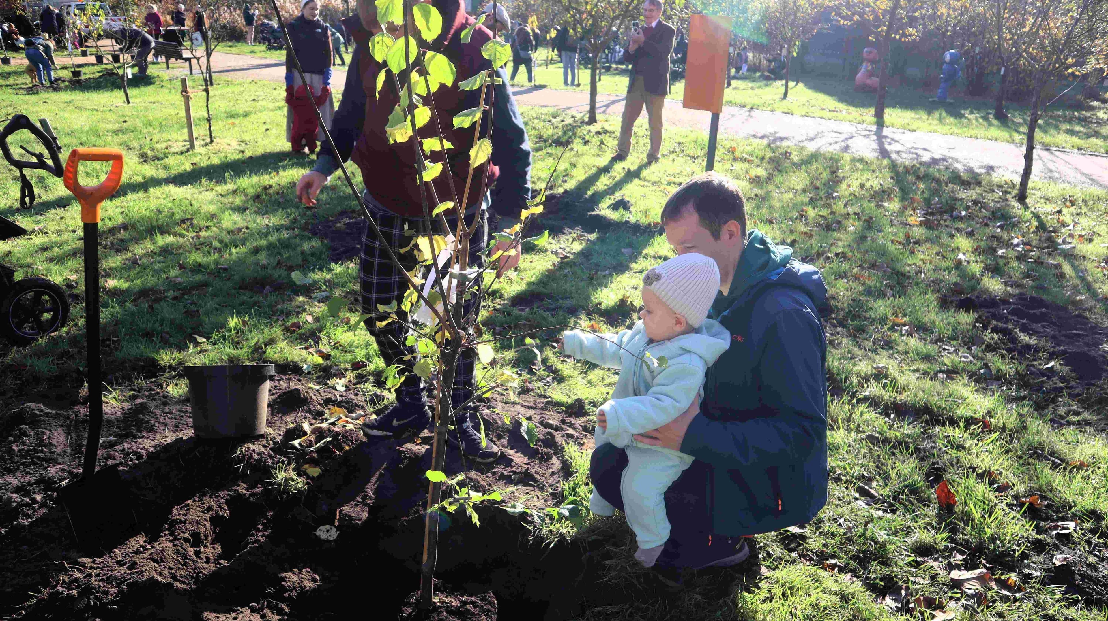 Beelitz pflanzt Zukunft: 33 Obstbäume für Familien | Symbolbild