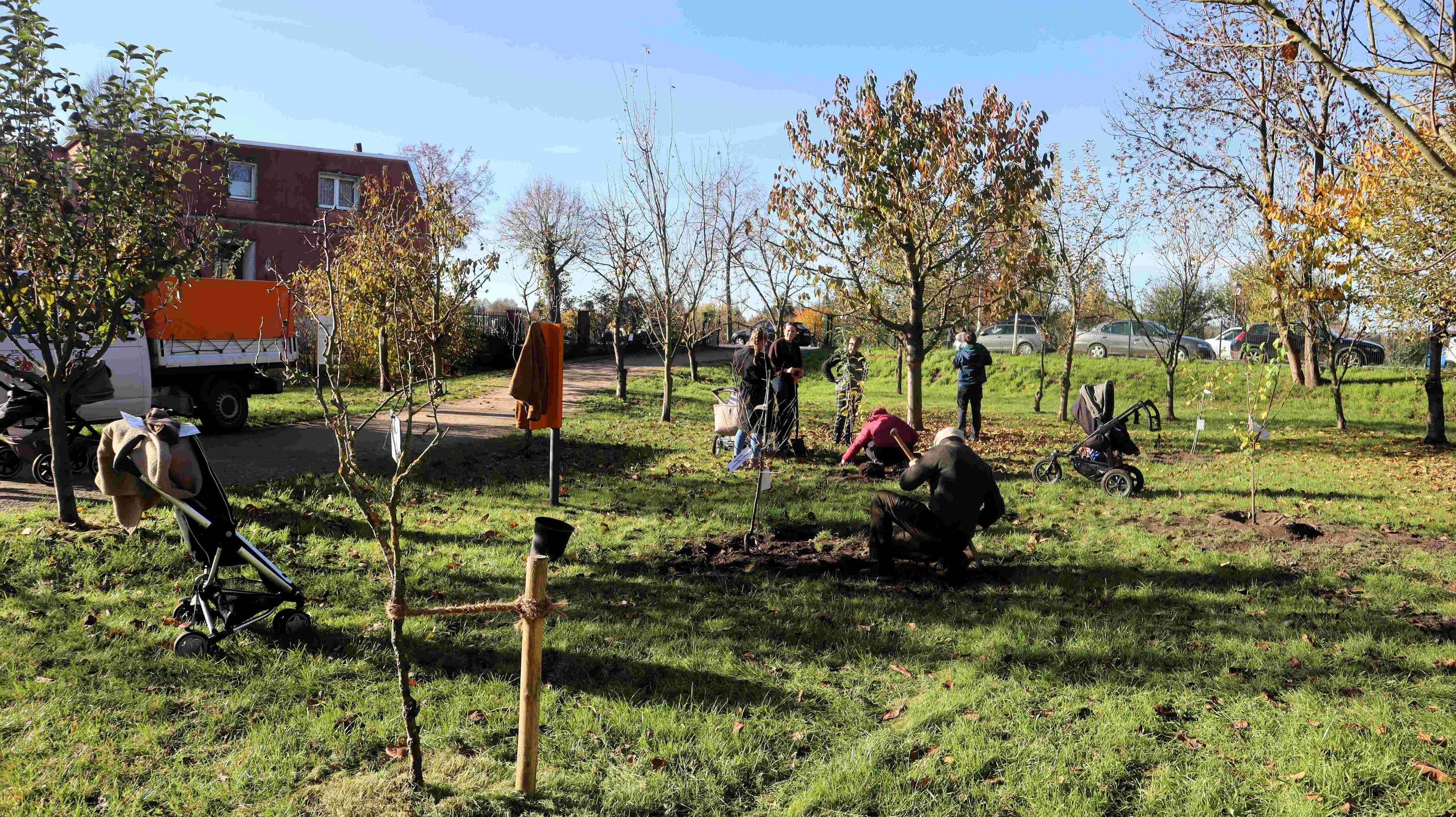 Familien pflanzen im Stadtpark junge Obstbäume beim diesjährigen Babybaumpflanzen.