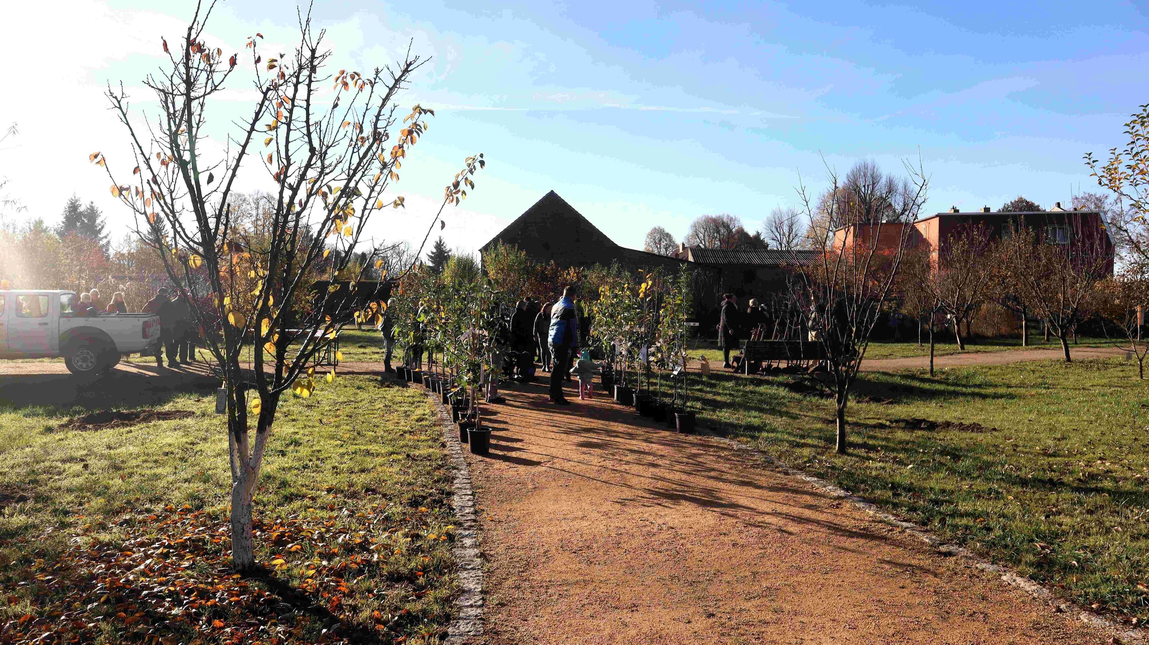 Beelitz pflanzt Zukunft: 33 Obstbäume für Familien | Symbolbild