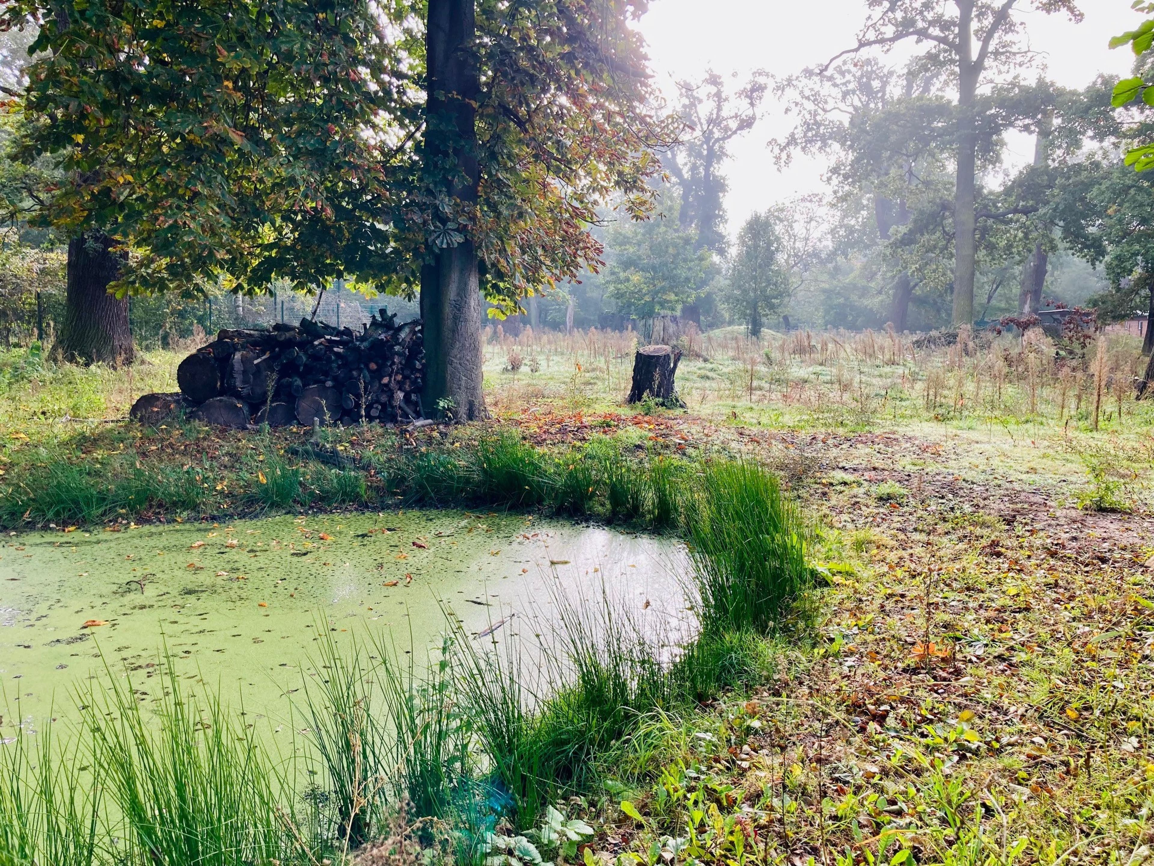 Zukunft für Wildpark Weißewarte steht bevor | Symbolbild