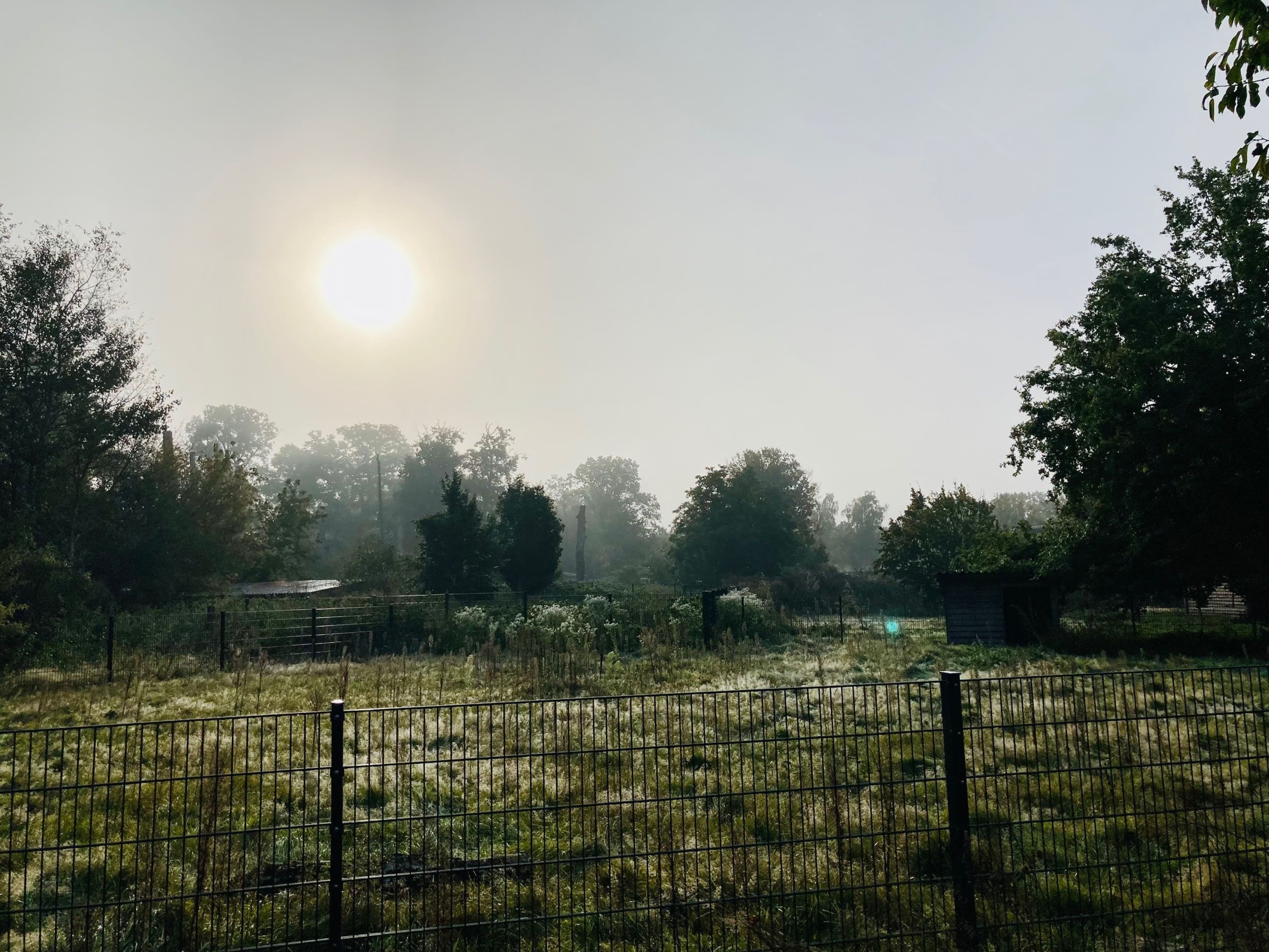 Zukunft für Wildpark Weißewarte steht bevor | Symbolbild