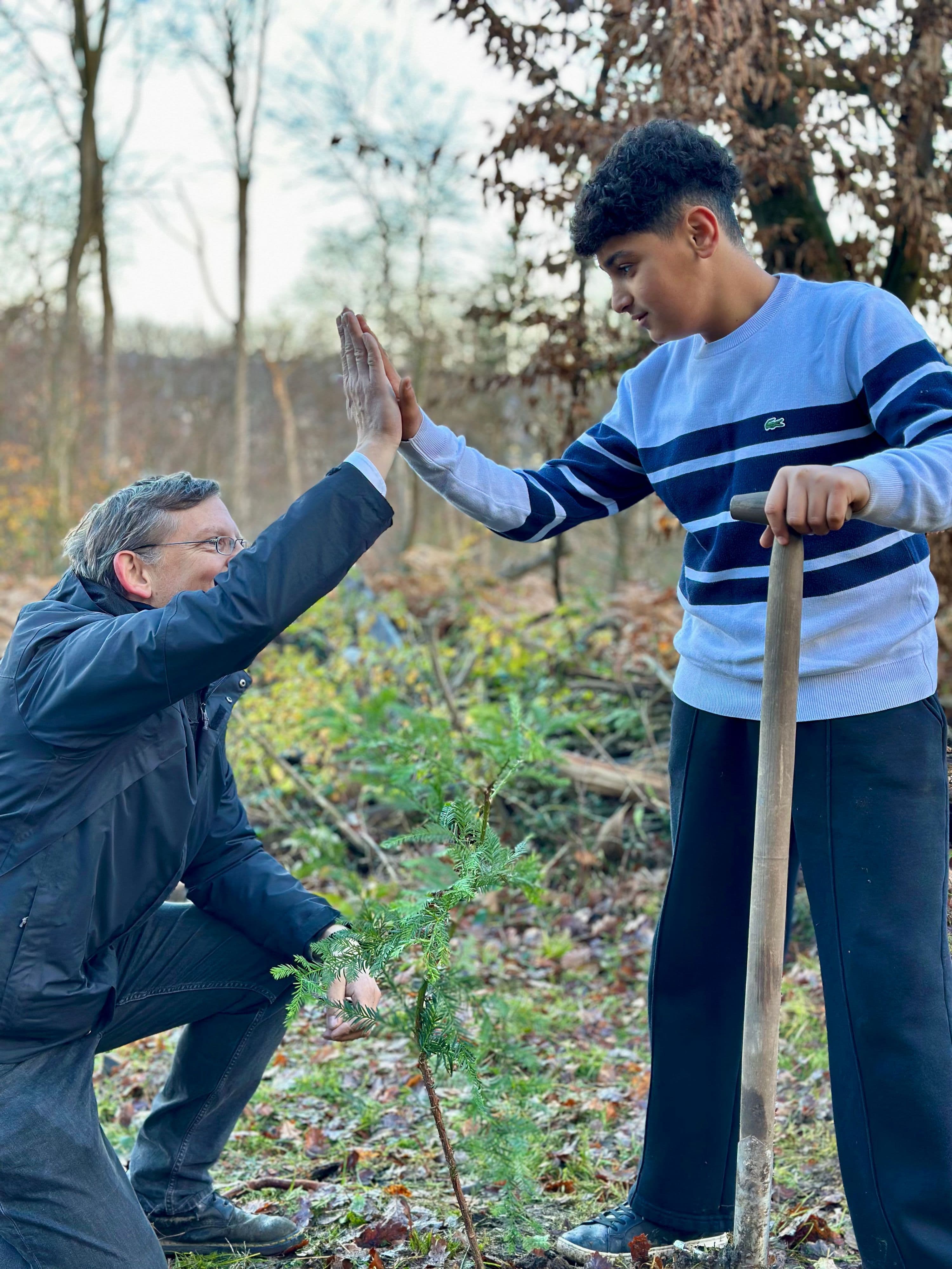 500 Bäume für den Schulenberger Wald gepflanzt | Symbolbild