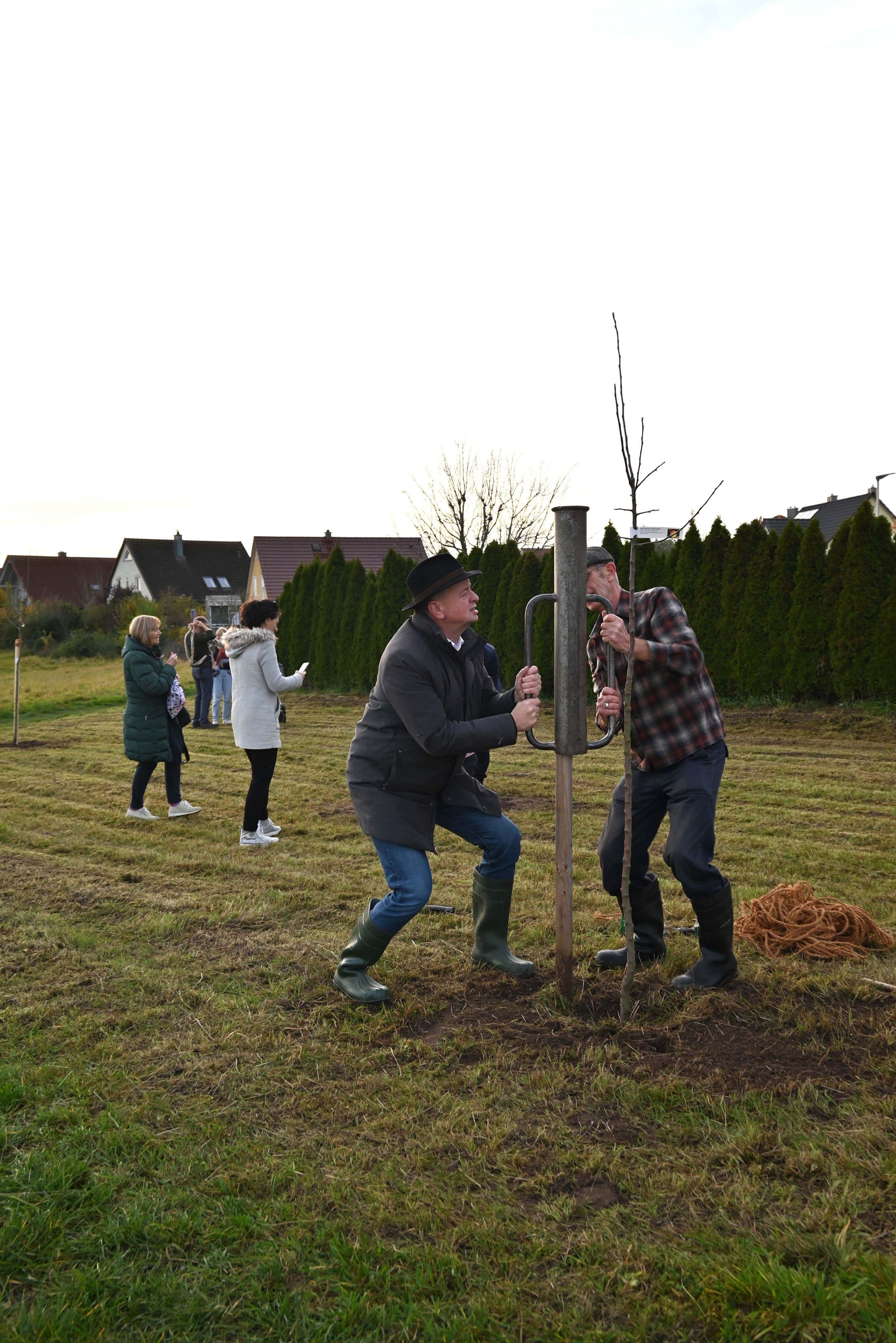 Babywald Ansbach: Familien pflanzen Zukunft | Symbolbild
