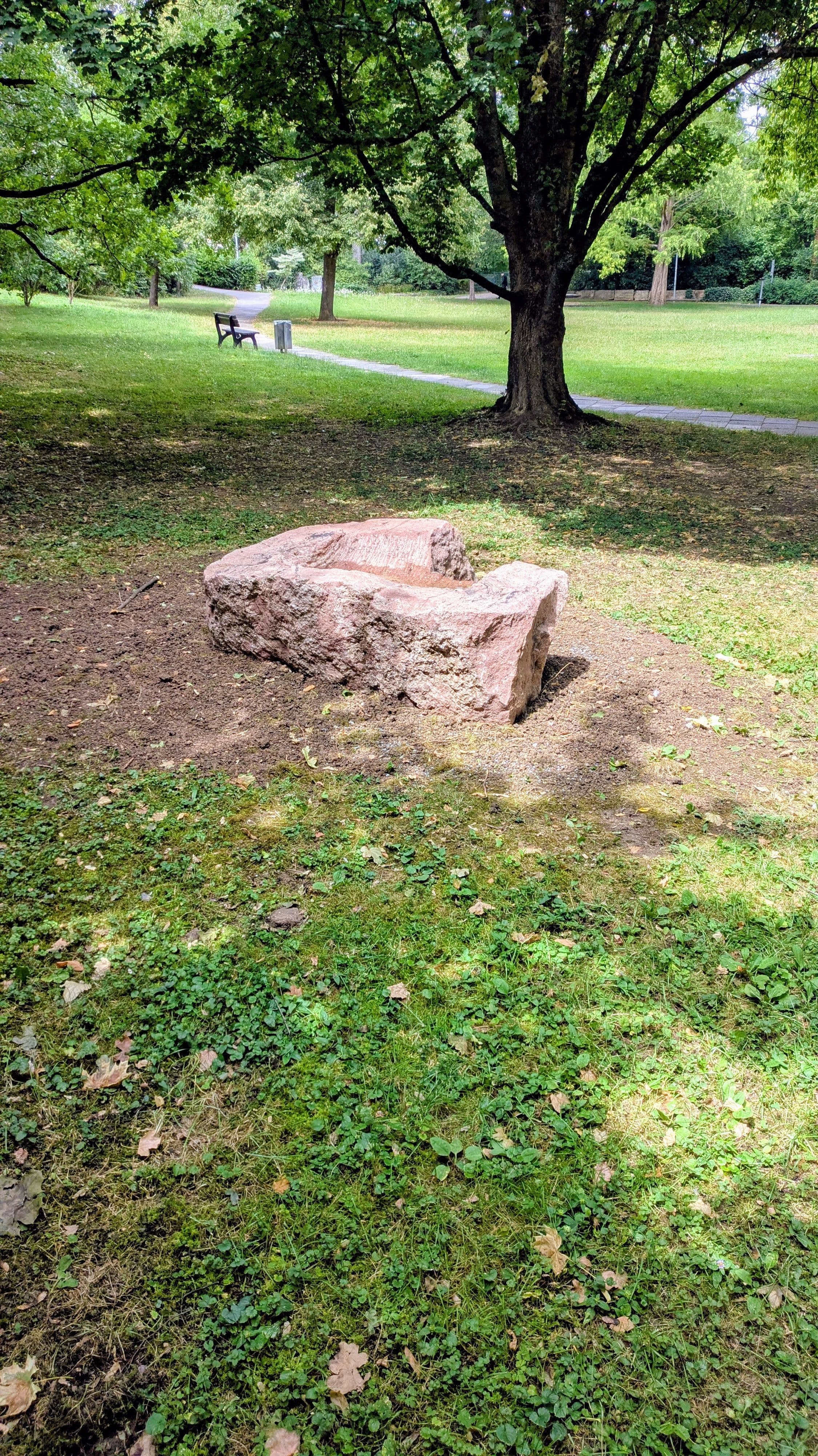 Neue Vogeltränke aus Buntsandstein im schattigen Gehölz des Hohenstaufenparks in Ditzingen aufgestellt.