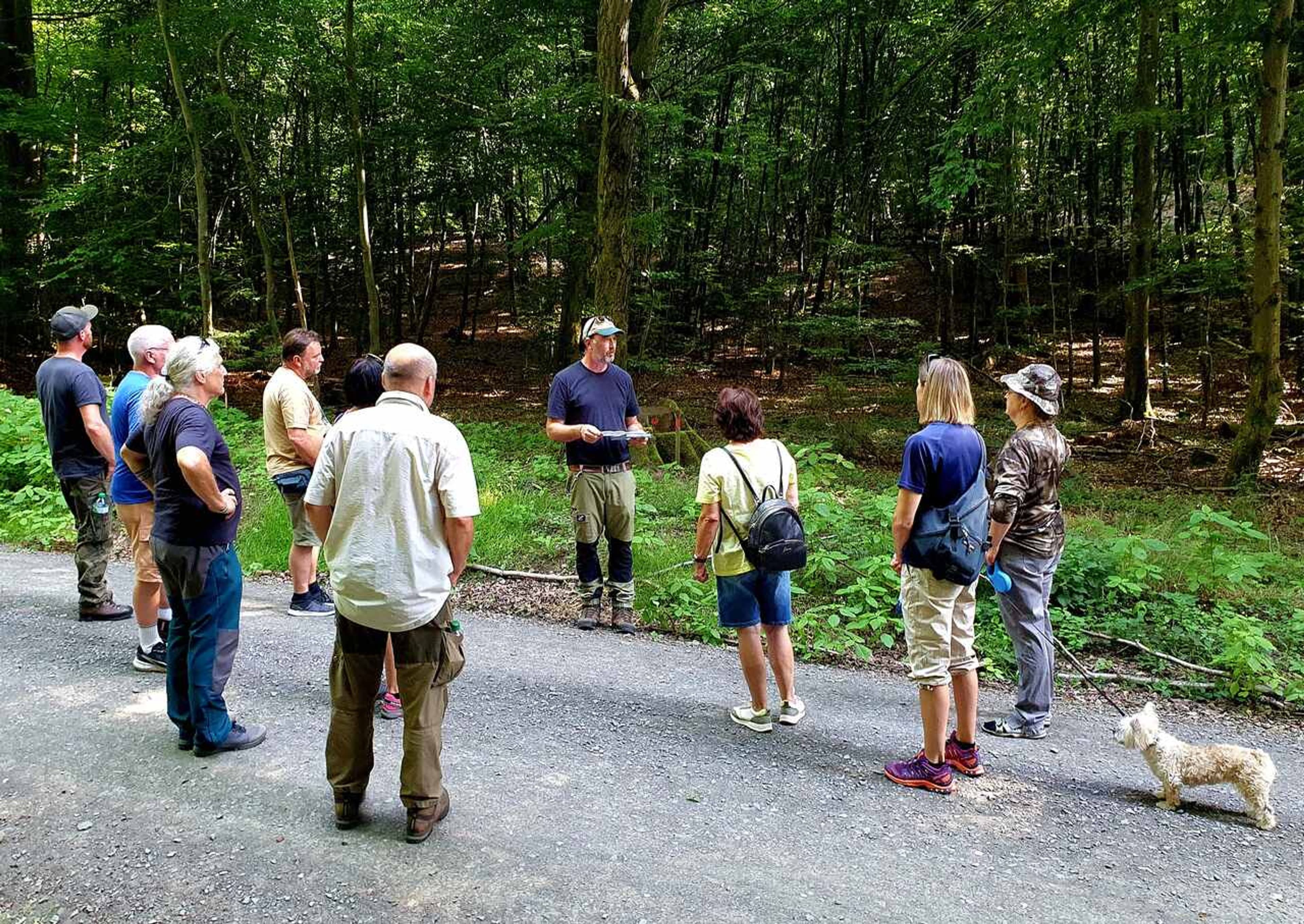 Nachhaltiger Stadtwald in St. Ingbert | Symbolbild