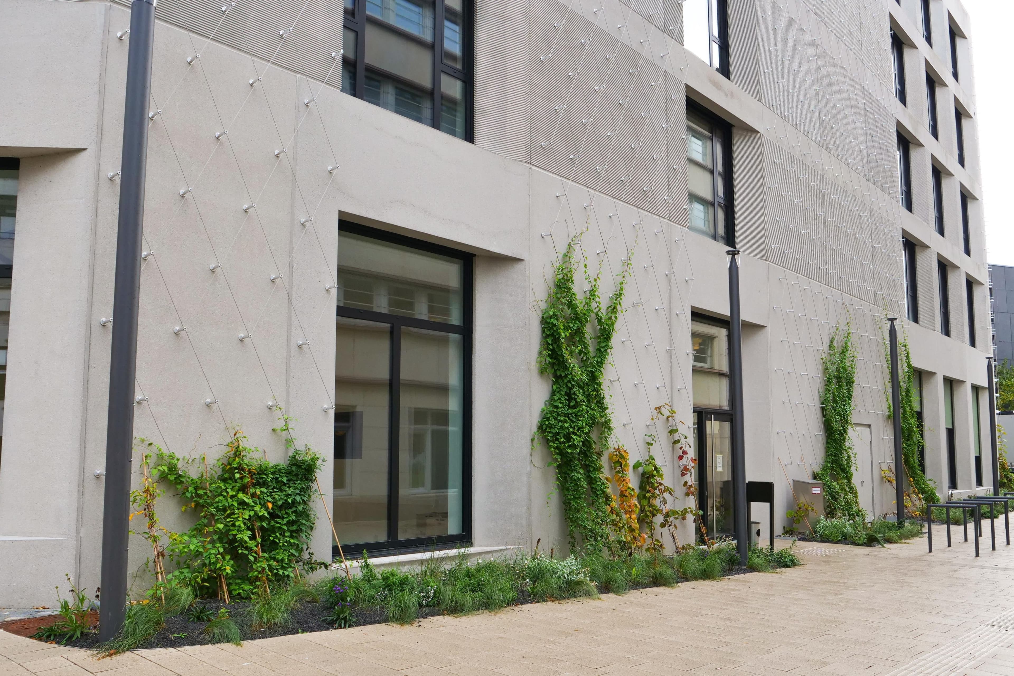 Pforzheims Rathaus wird zum grünen Vorbild | Symbolbild