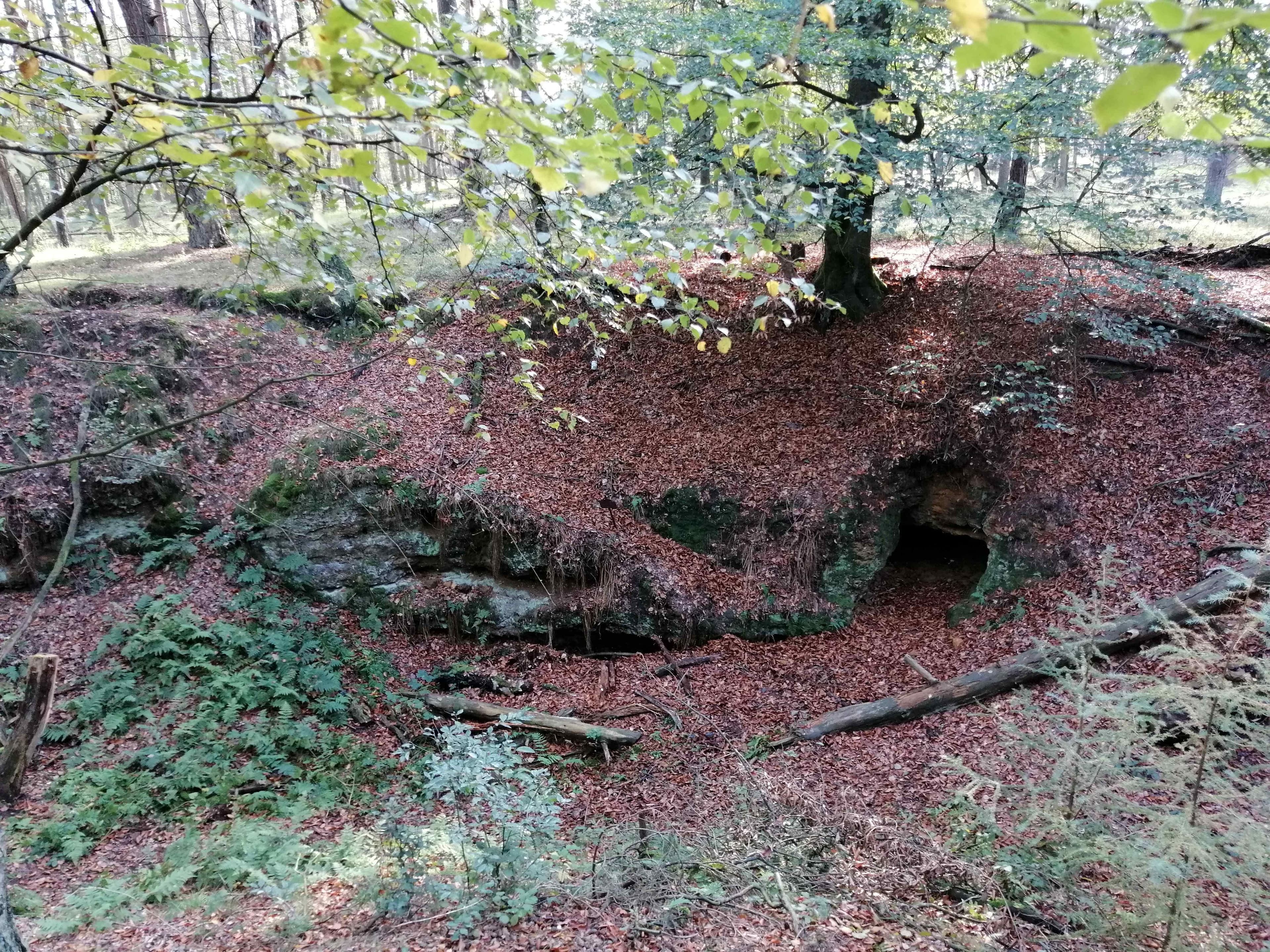 Die Brotmannshöhle in der winterlichen Waldlandschaft, Station der geführten Winterwanderung in Dorsten.