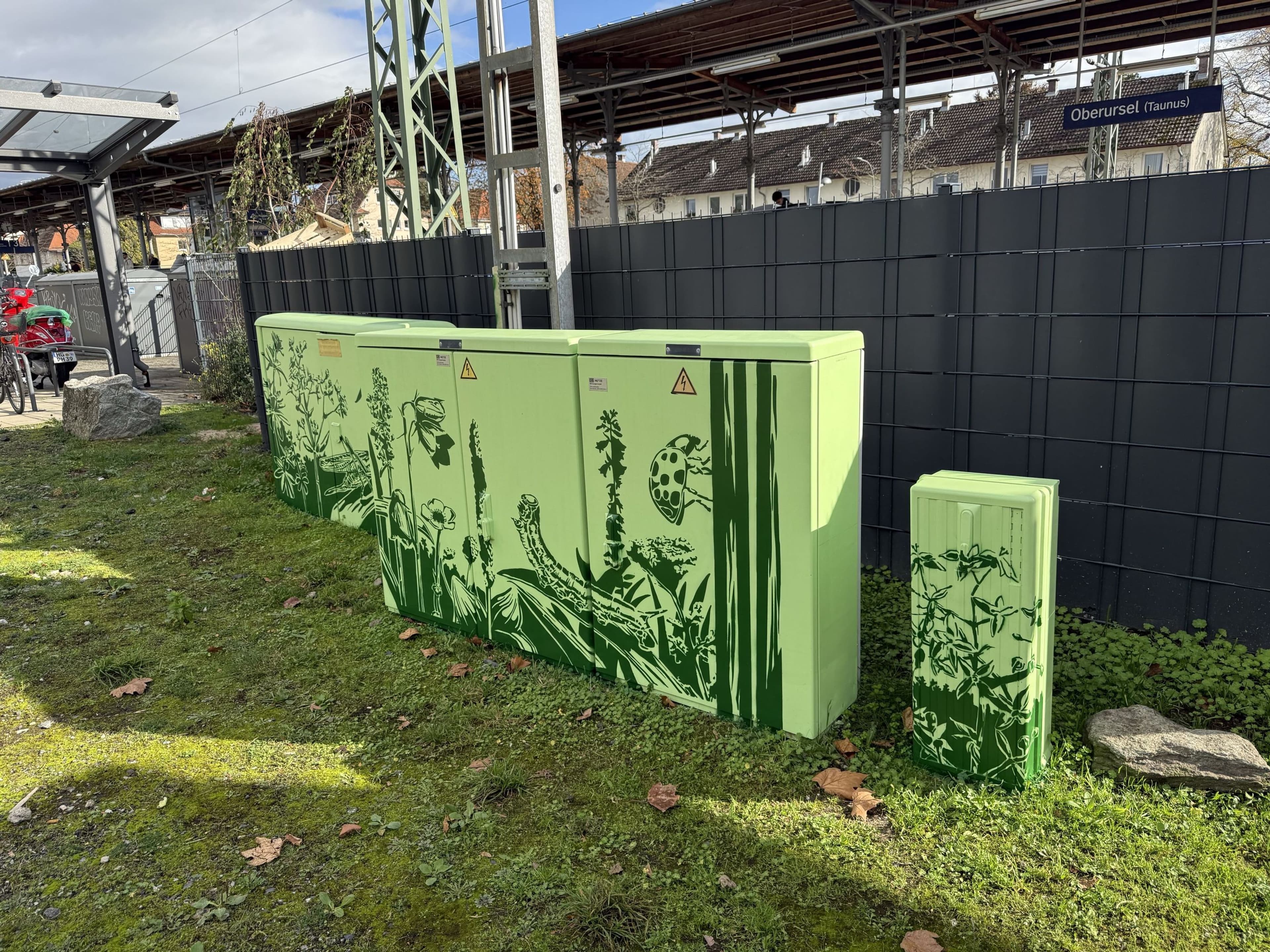 Neu gestaltete Verteilerkästen entlang Stadtspaziergängen im Rahmen des Projekts 'Oberursel wächst weiter'.
