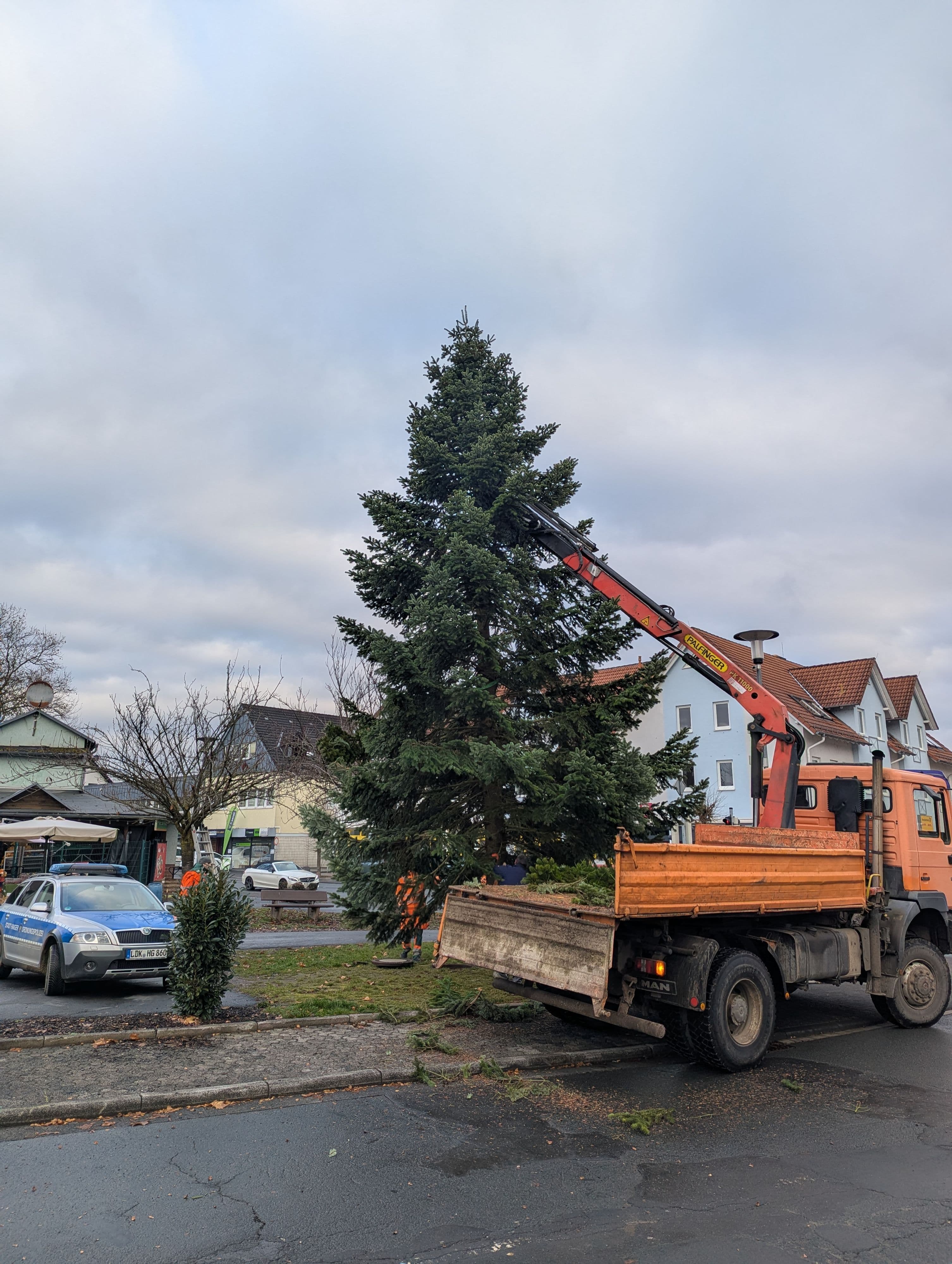Weihnachtsbäume erleuchten Haiger | Symbolbild