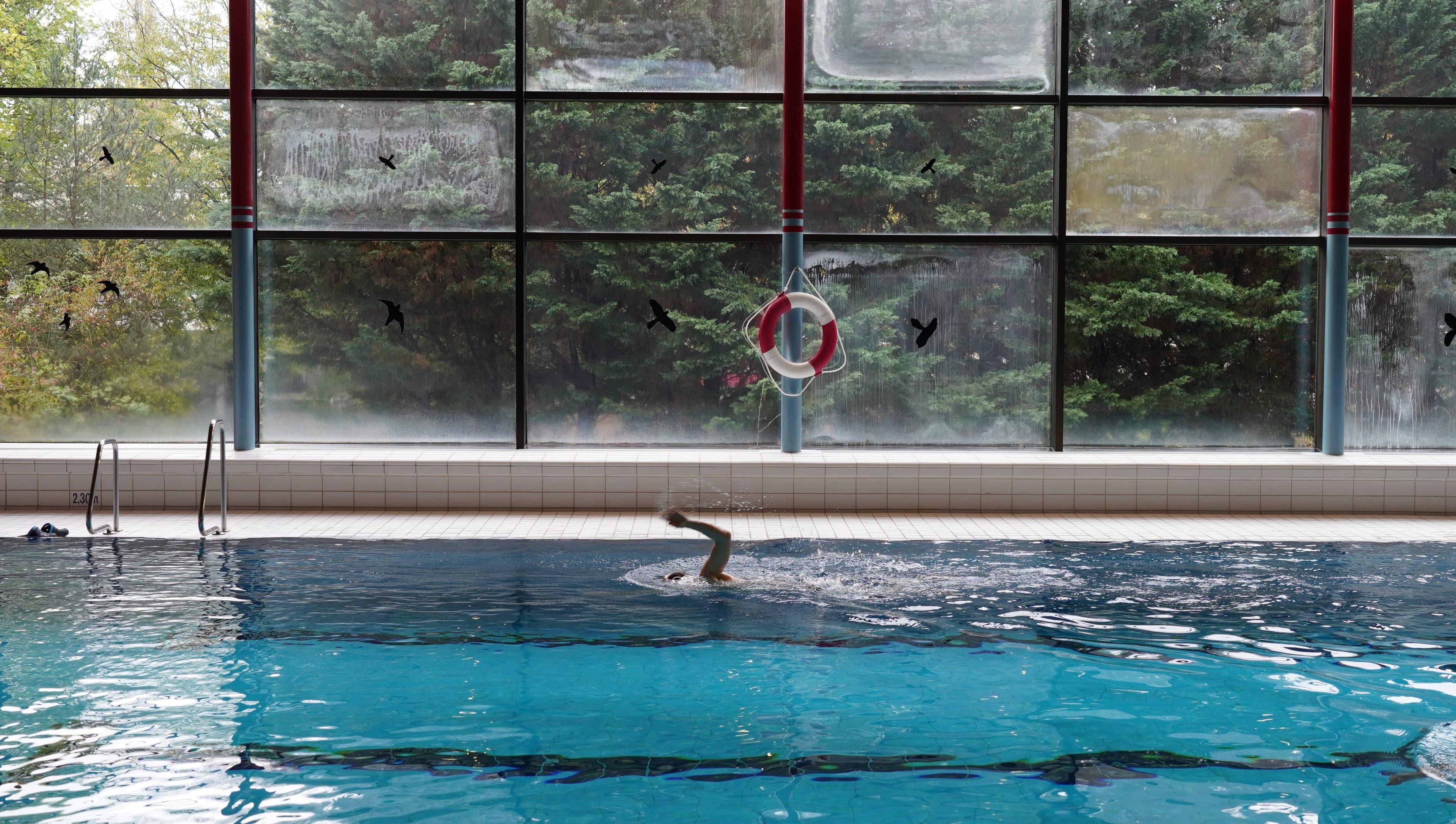 Schwimmerbecken im Hallenbad Lahr öffnet ab 30. September wieder für Besucher.