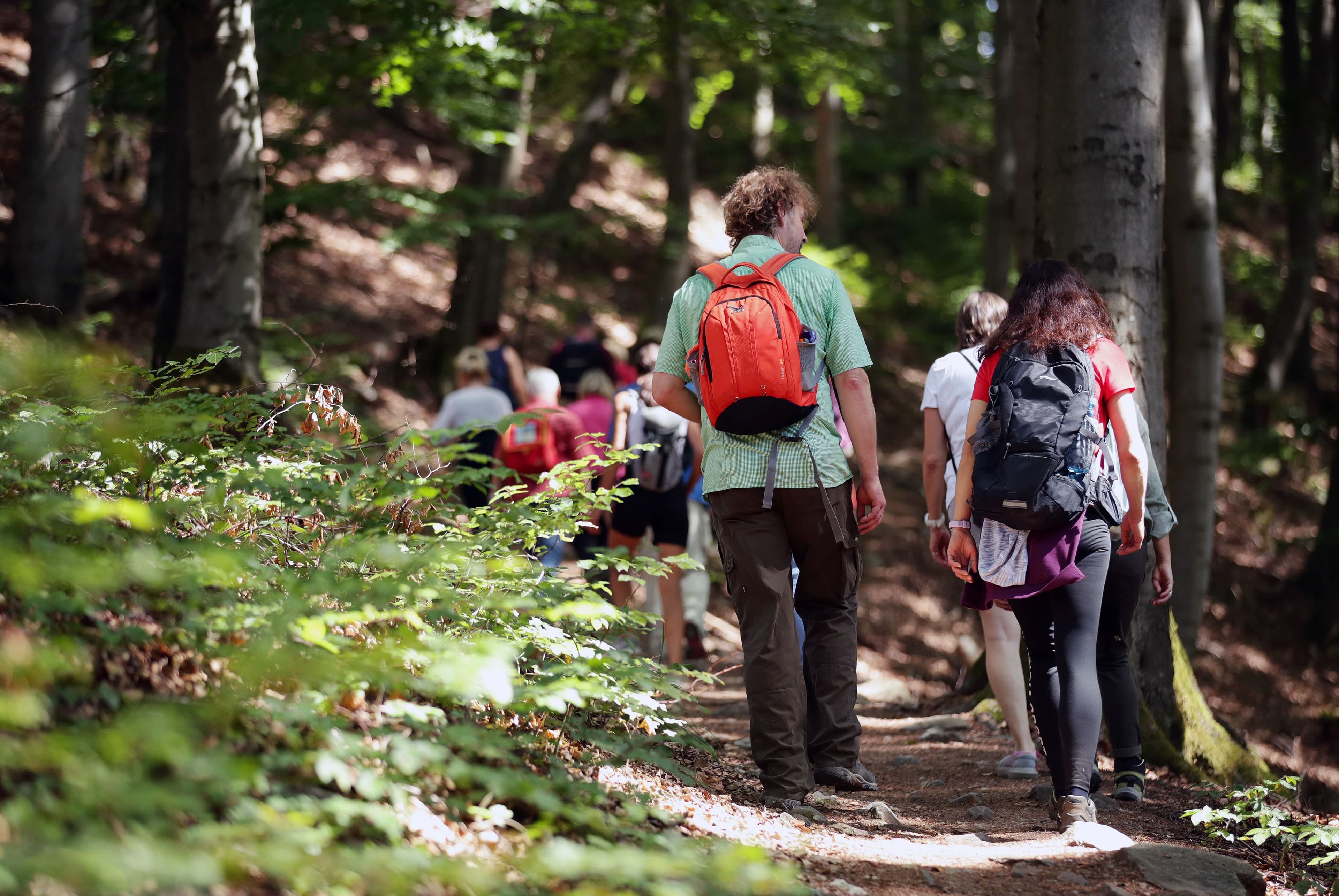 Das Wanderangebot in Königstein im Taunus lockt auch in diesem Jahr Outdoor-Enthusiasten mit einer Vielzahl an Terminen und Routen.