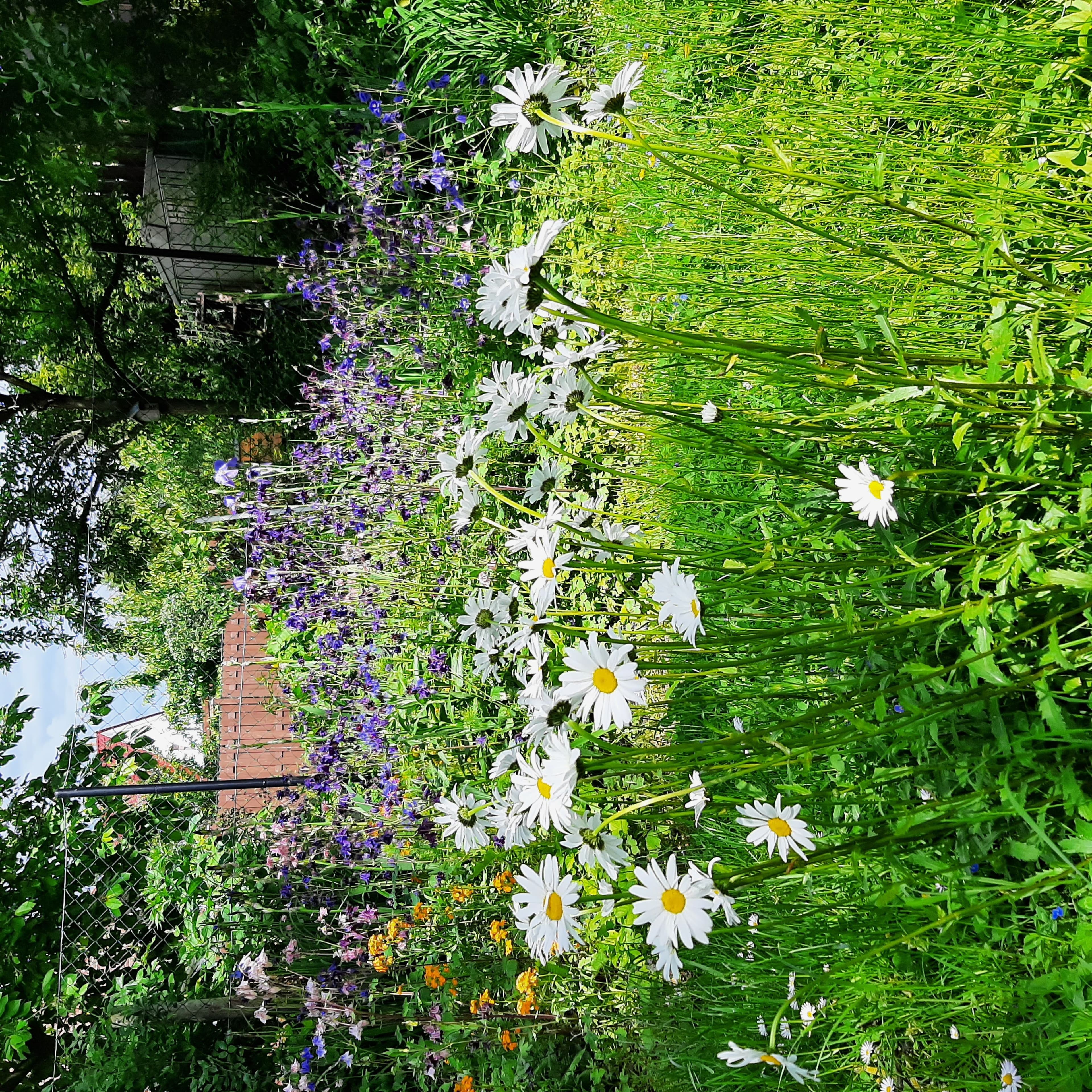 Die Stadt Nidderau präsentierte ihre neuesten Projekte zur Stadtentwicklung, die sowohl die Infrastruktur als auch die Grünflächen verbessern sollen.